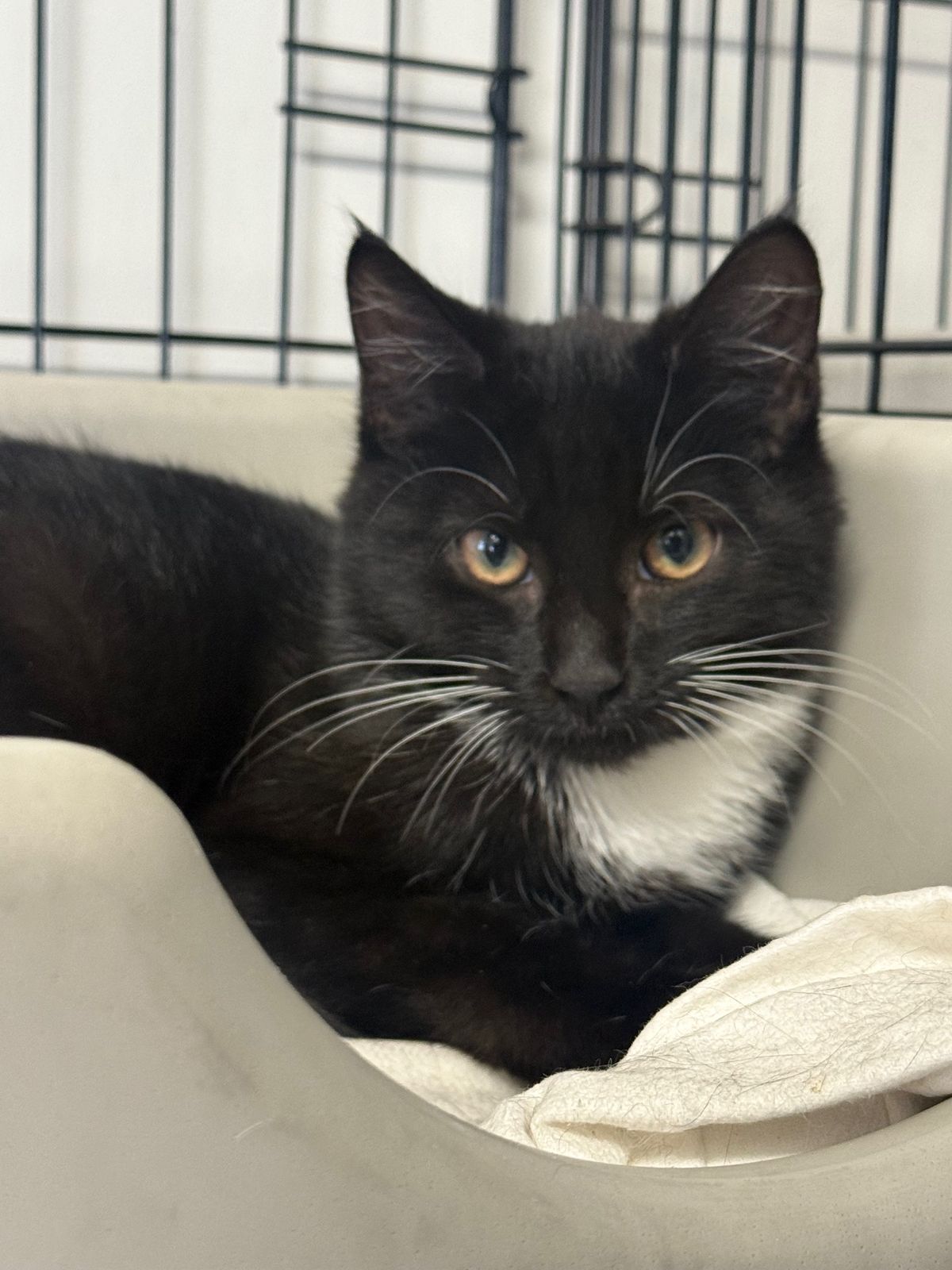 Gallery image: Candy