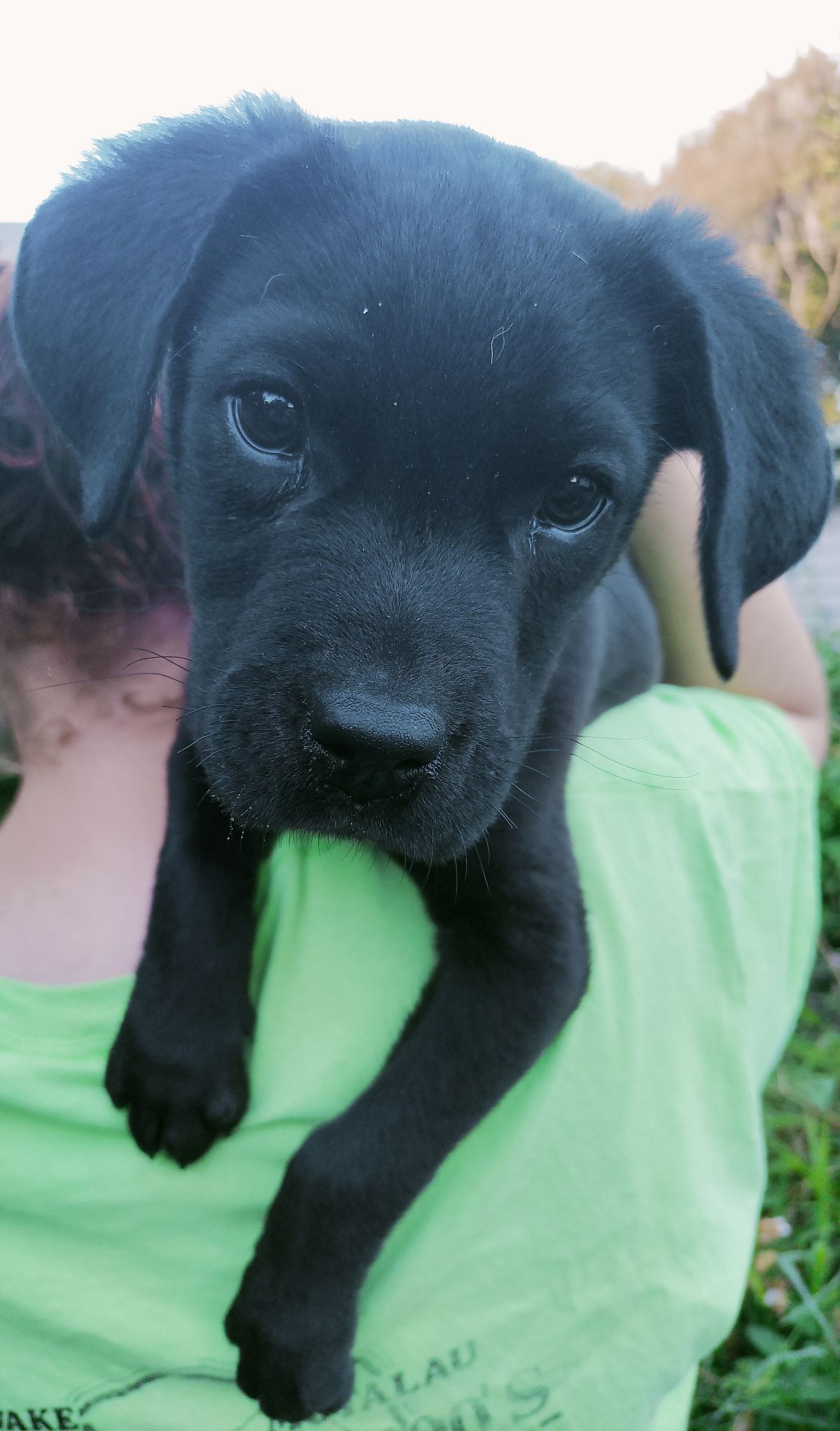 Gallery image: Chase