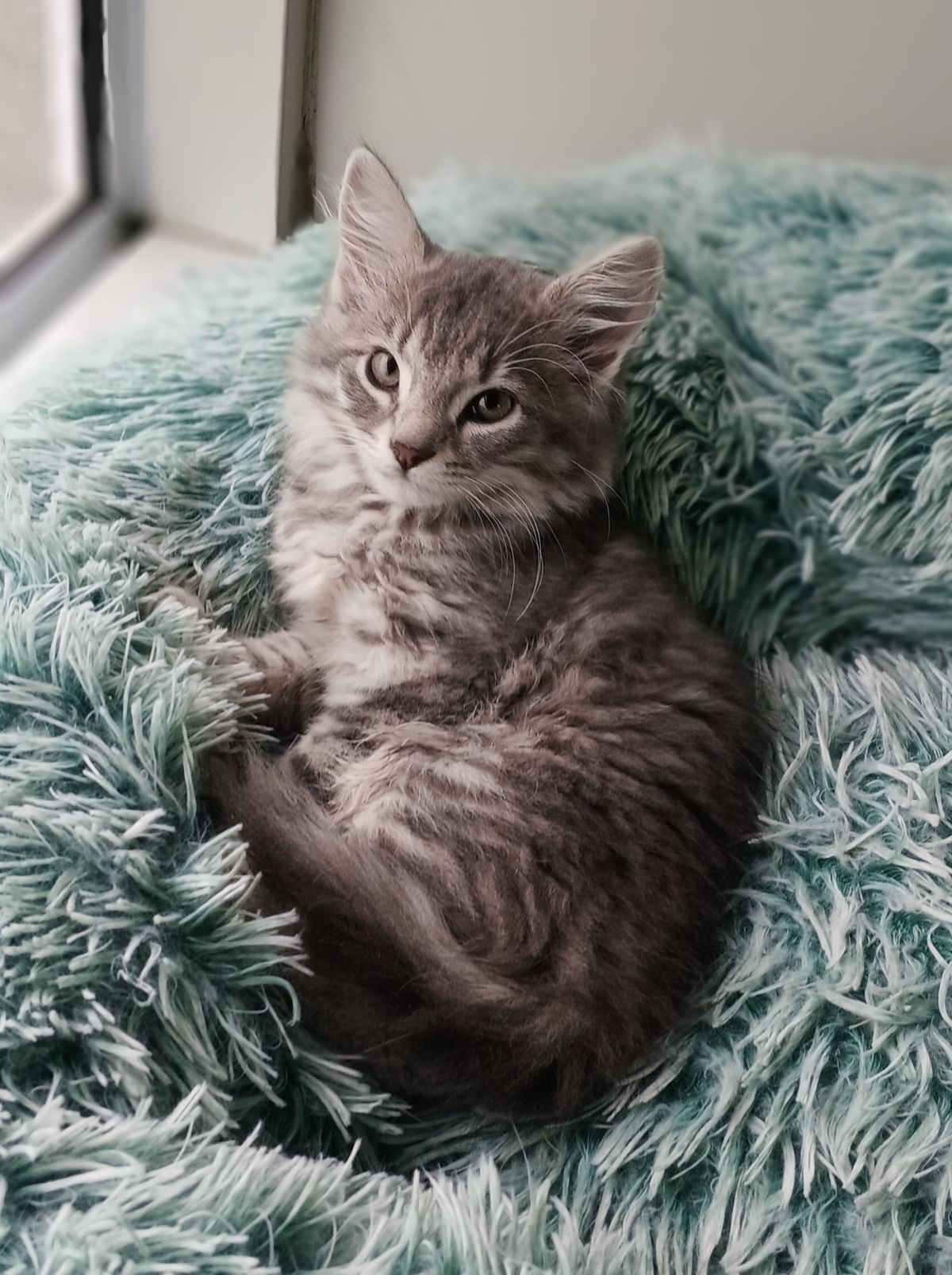 Gallery image: Britney