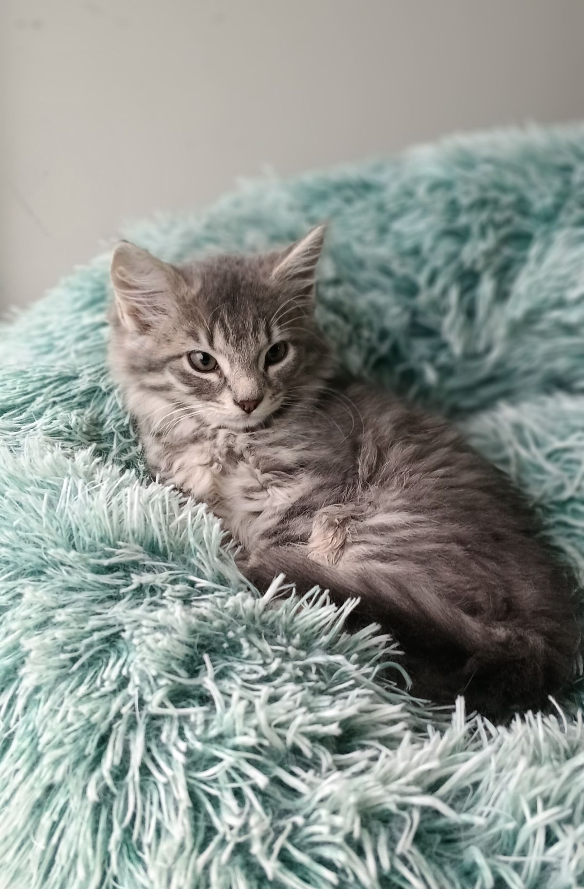 Gallery image: Britney