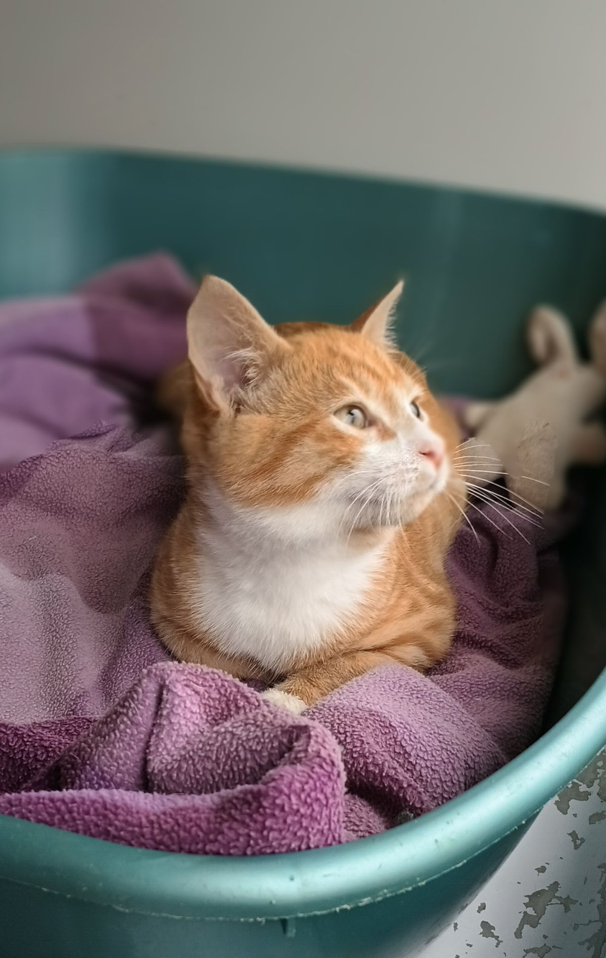 Gallery image: Finneas