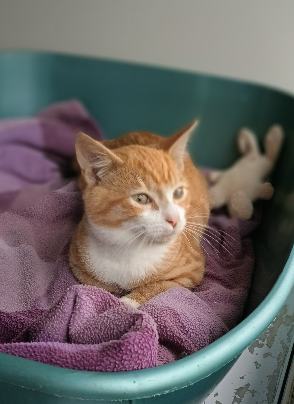 Gallery image: Finneas