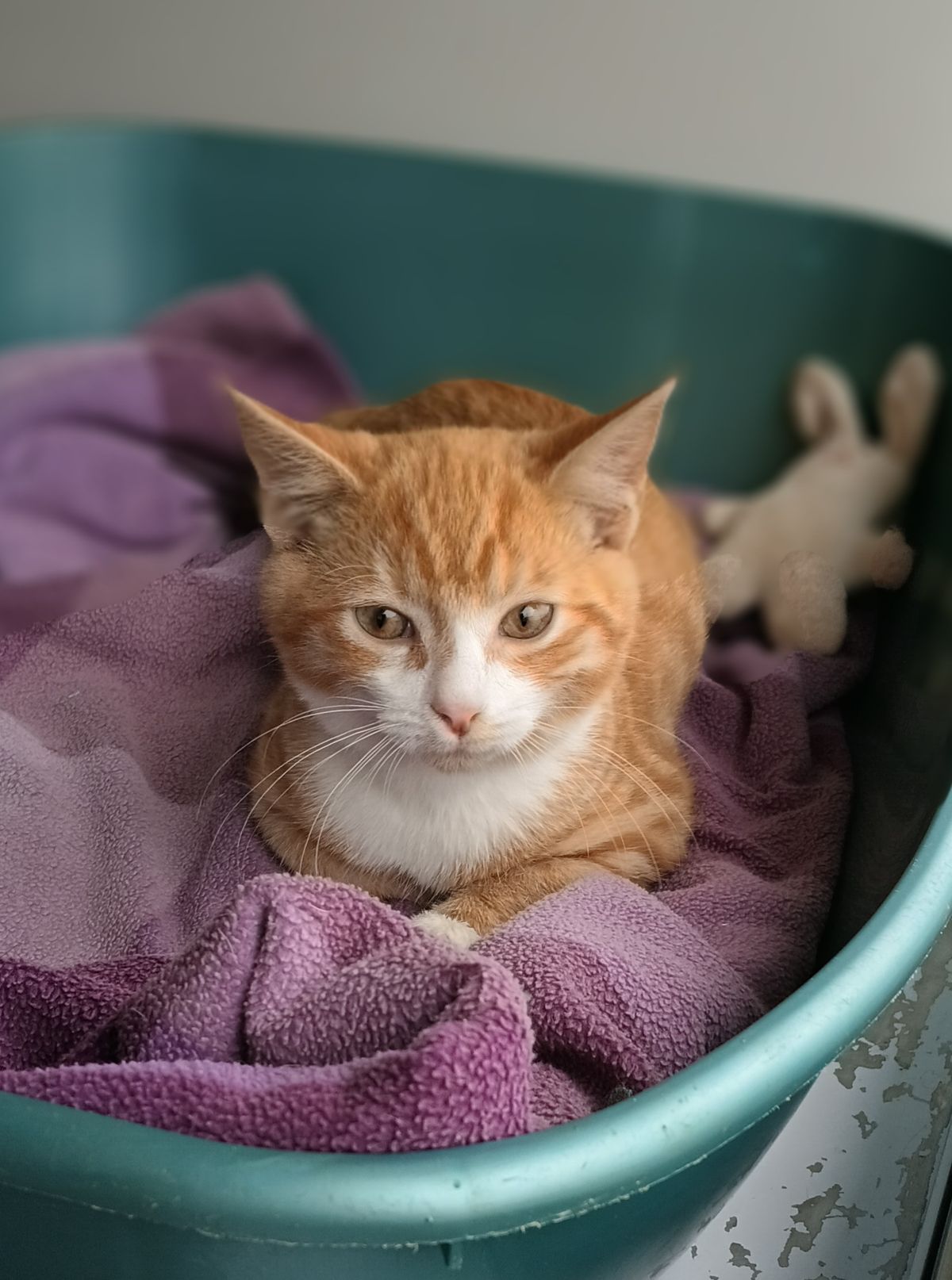 Gallery image: Finneas