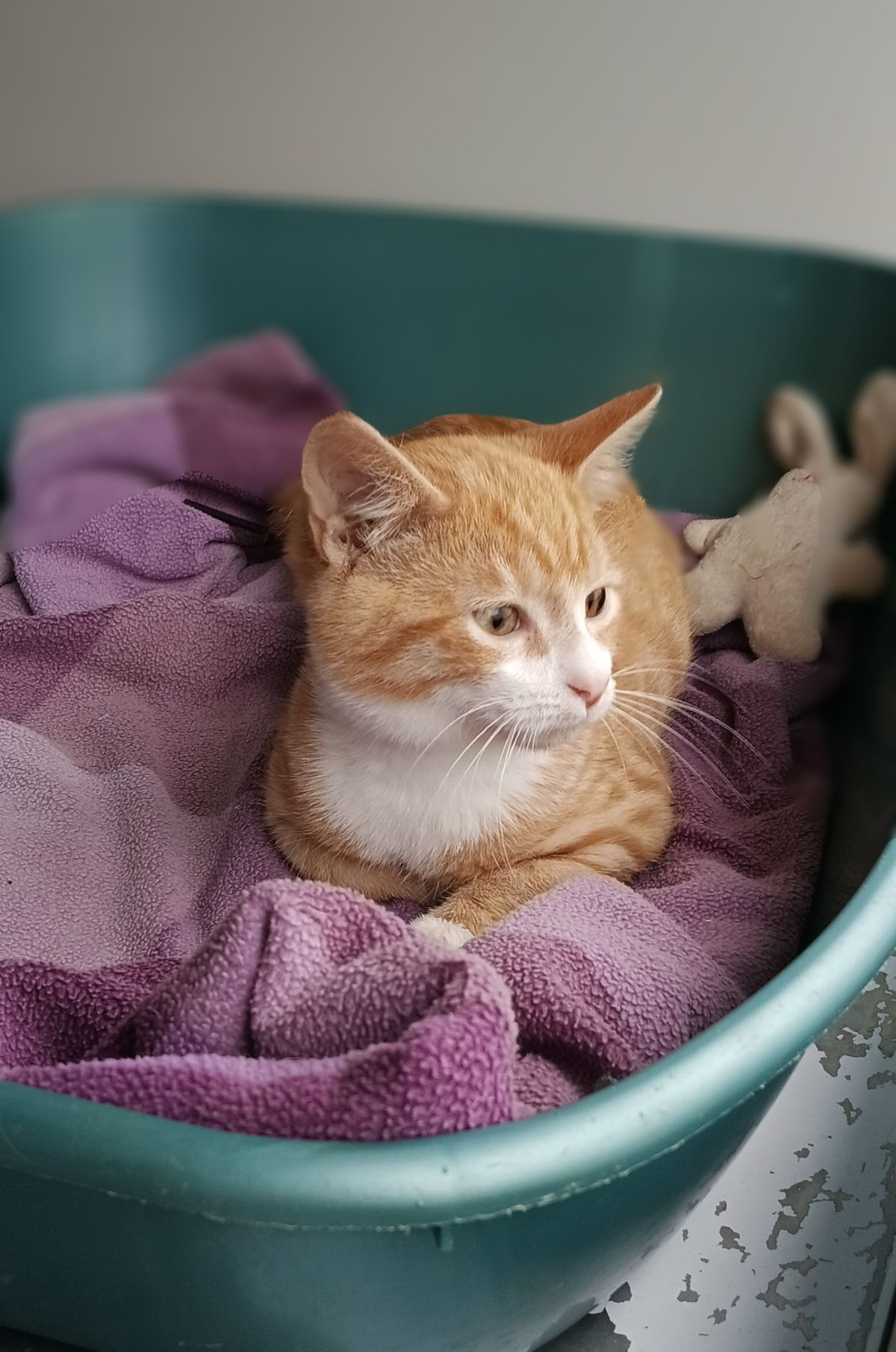 Gallery image: Finneas