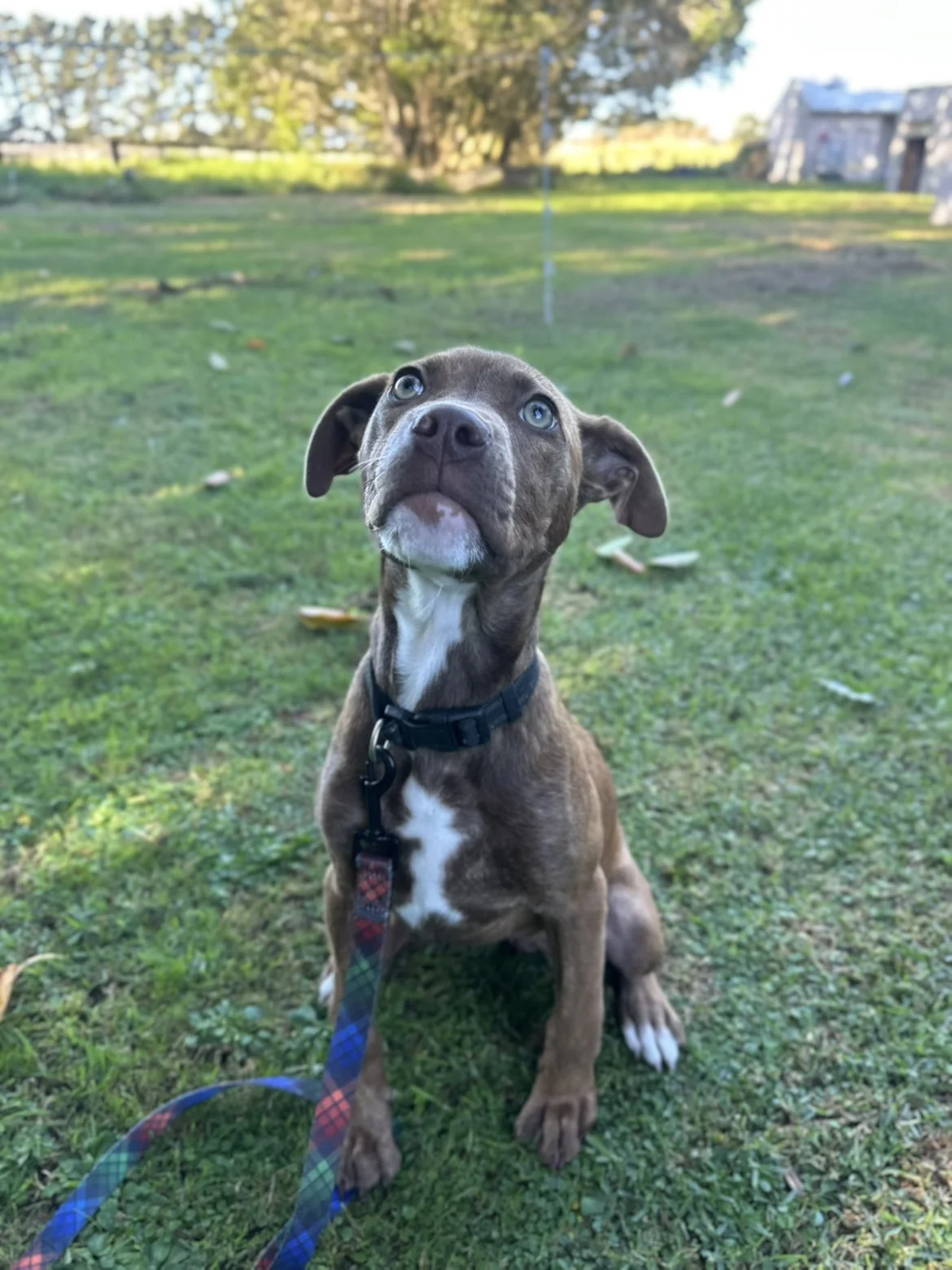 Gallery image: Chanel