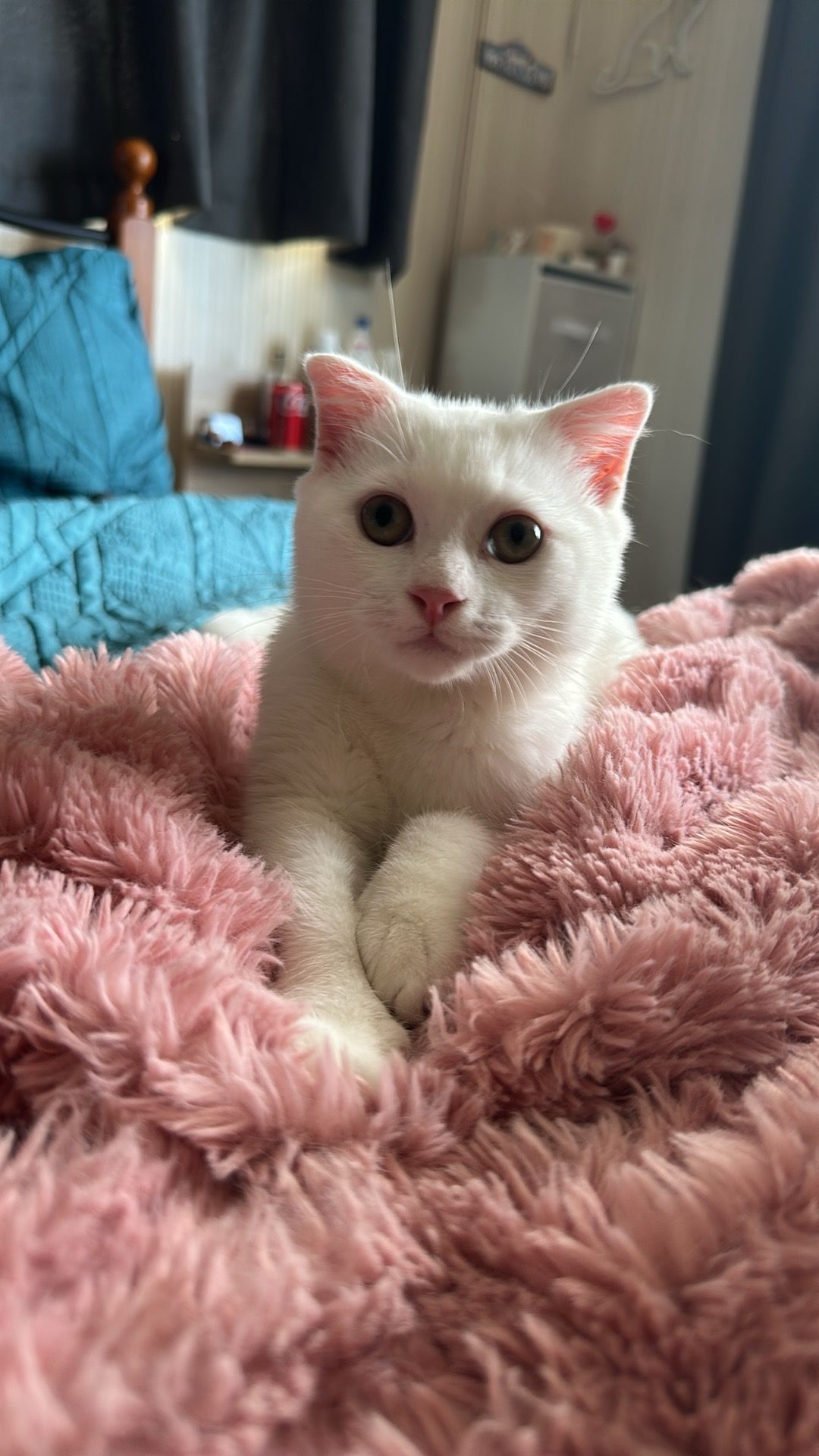 Gallery image: Lil Man