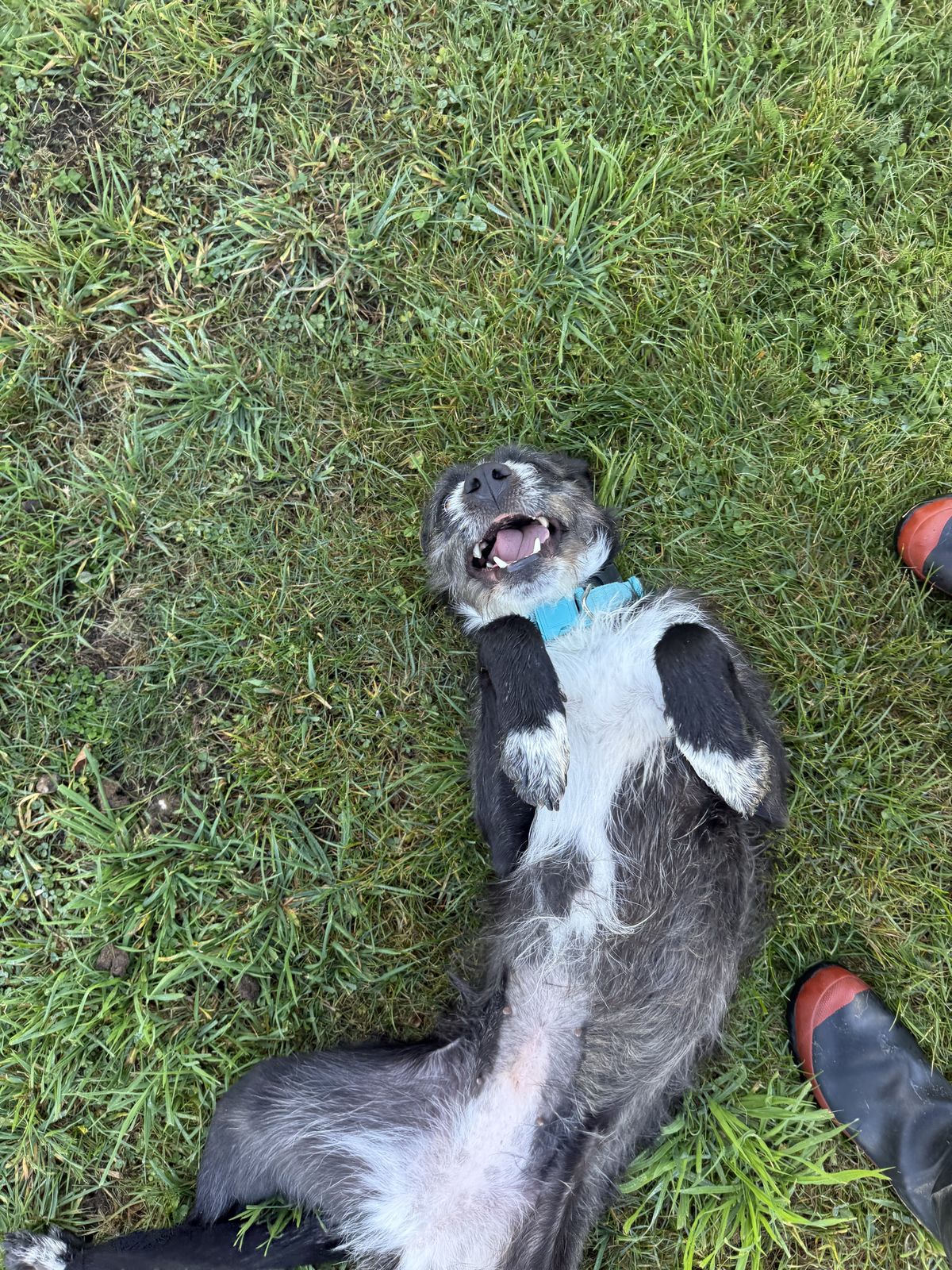 Gallery image: Kylie