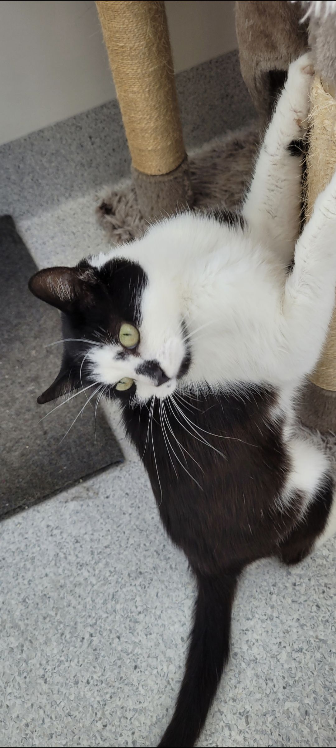 Gallery image: Bubbles