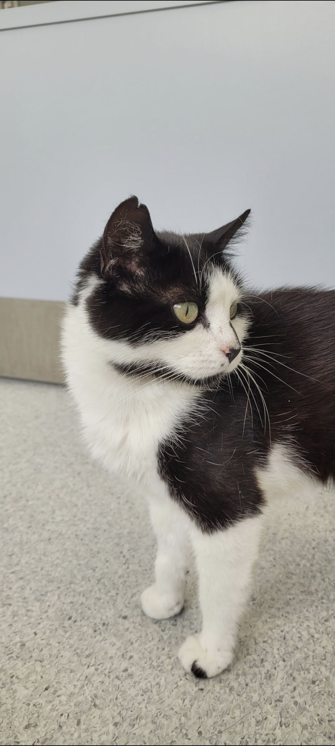 Gallery image: Bubbles