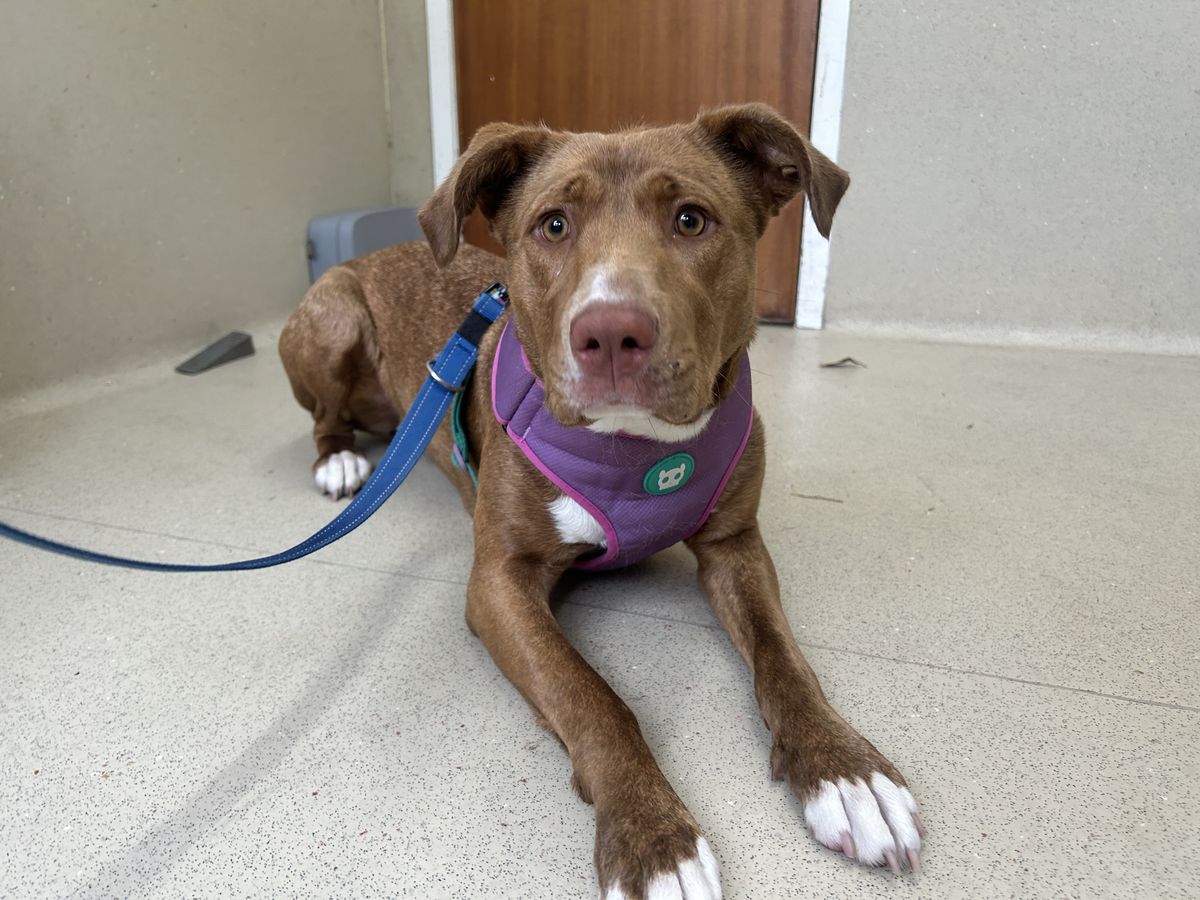 Gallery image: Lottie