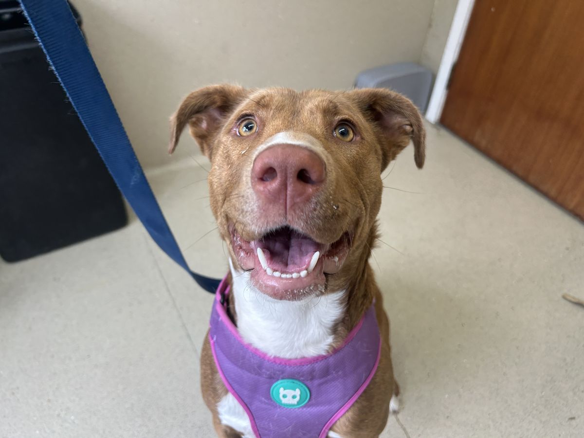 Gallery image: Lottie