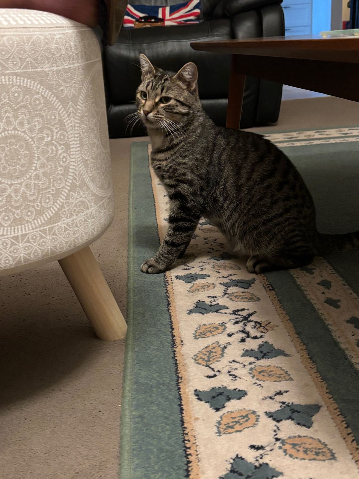 Gallery image: Pumpkin