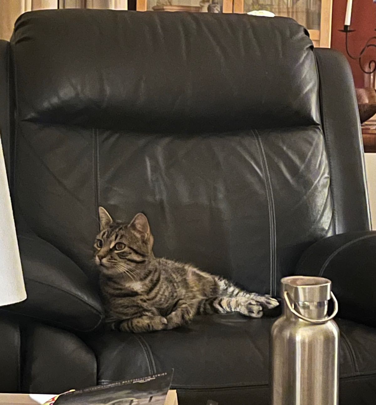 Gallery image: Pumpkin