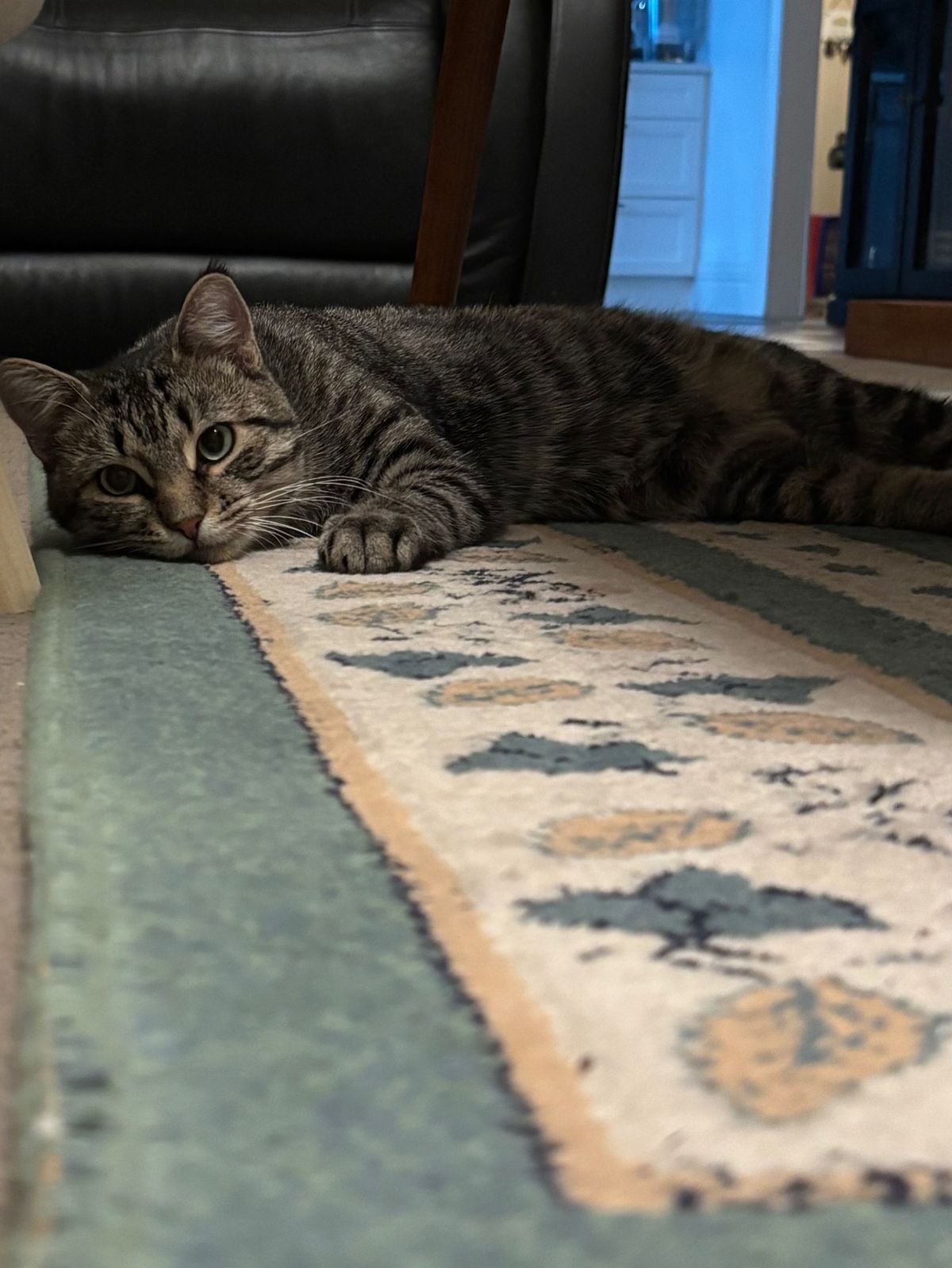 Gallery image: Pumpkin