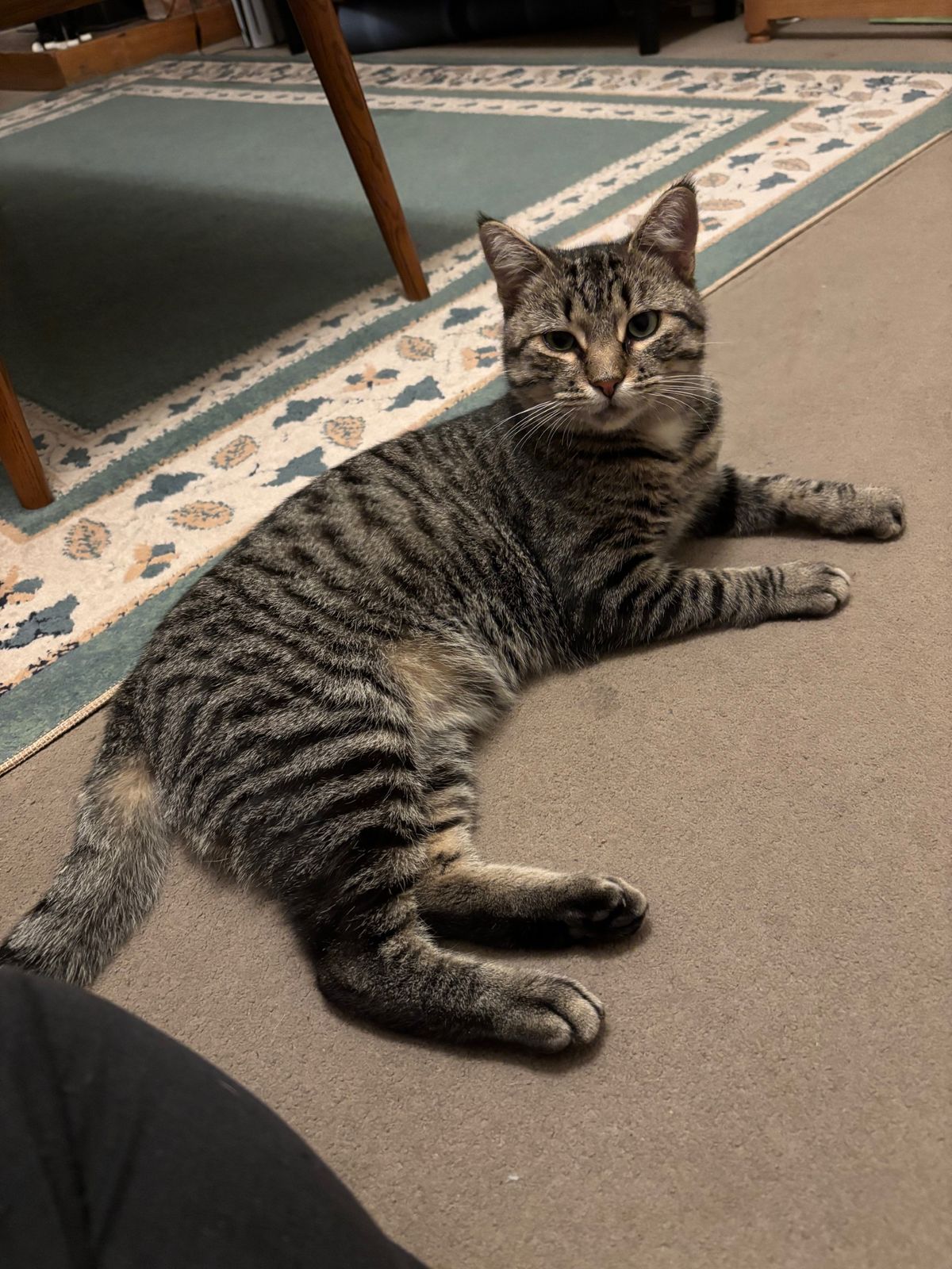 Gallery image: Pumpkin