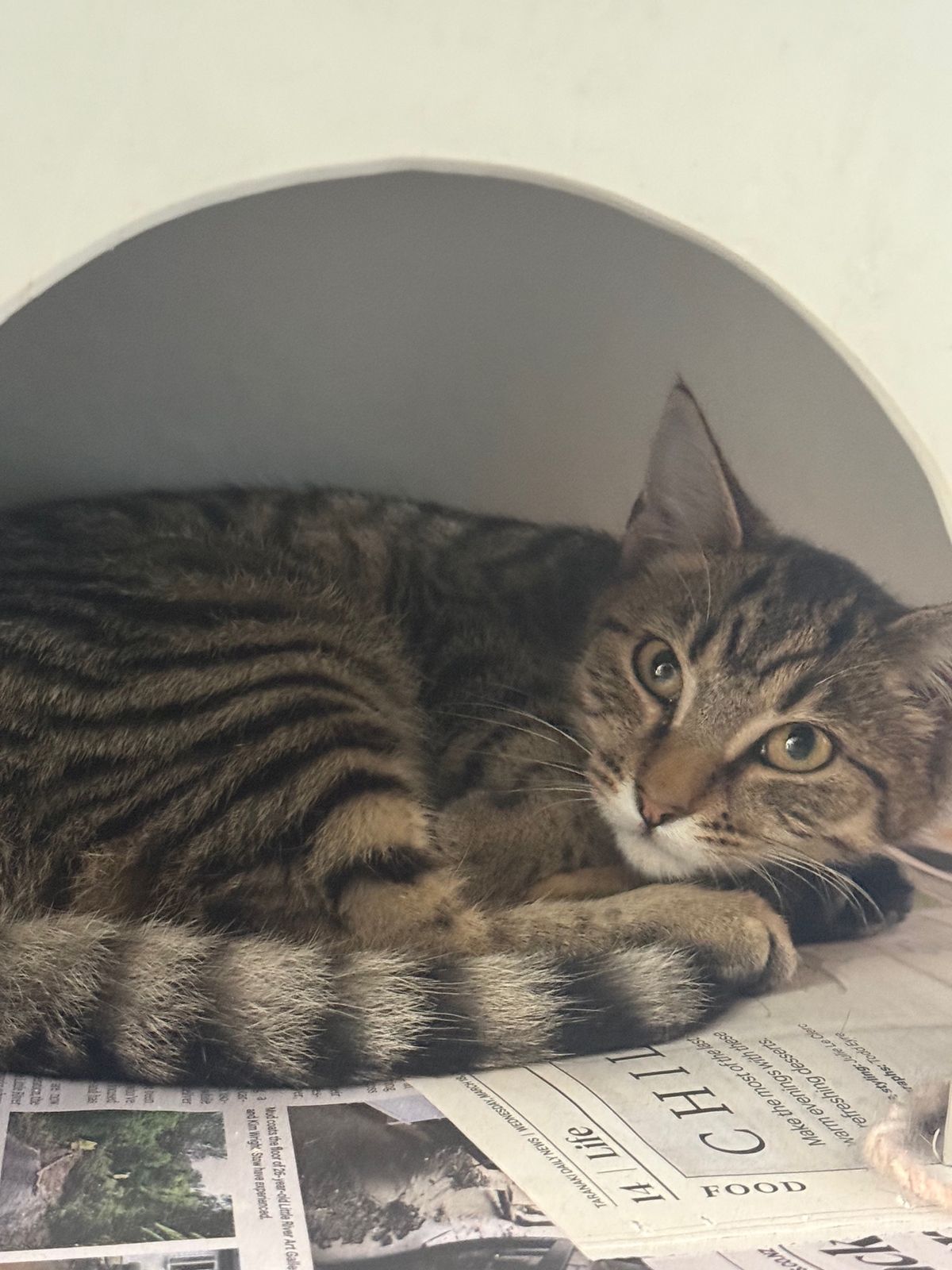 Gallery image: Woolies