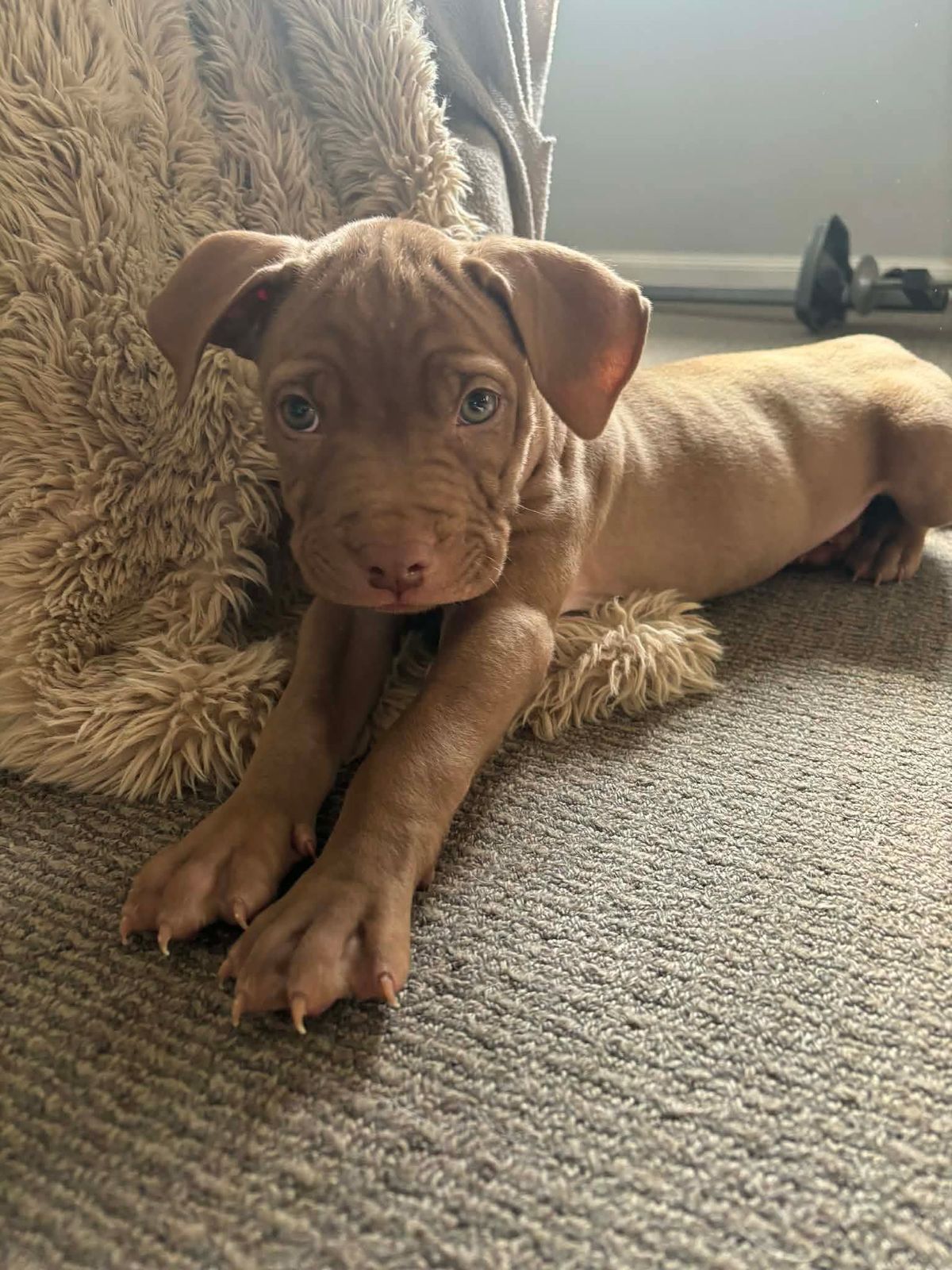 Gallery image: Parker