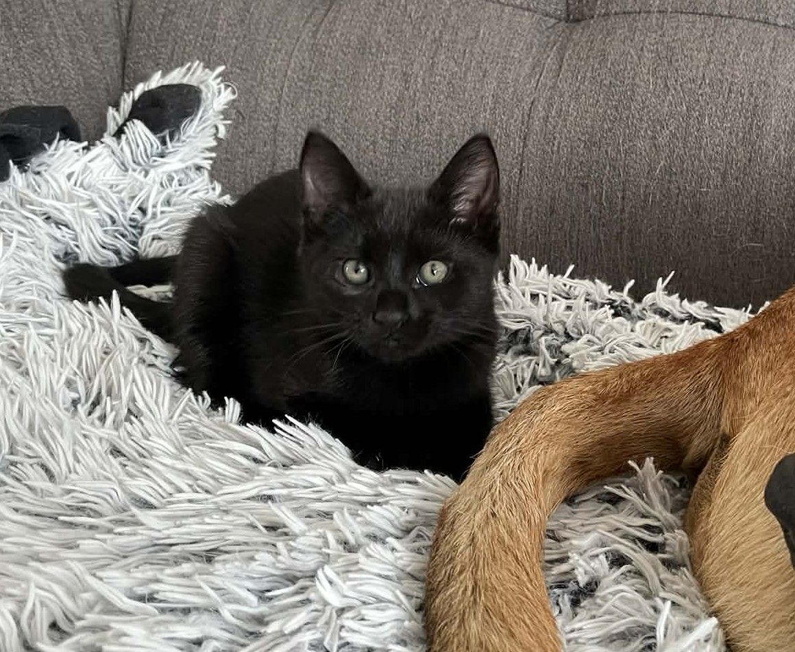 Gallery image: Patrick