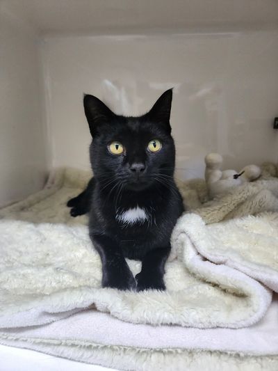 Brenda From Accounting