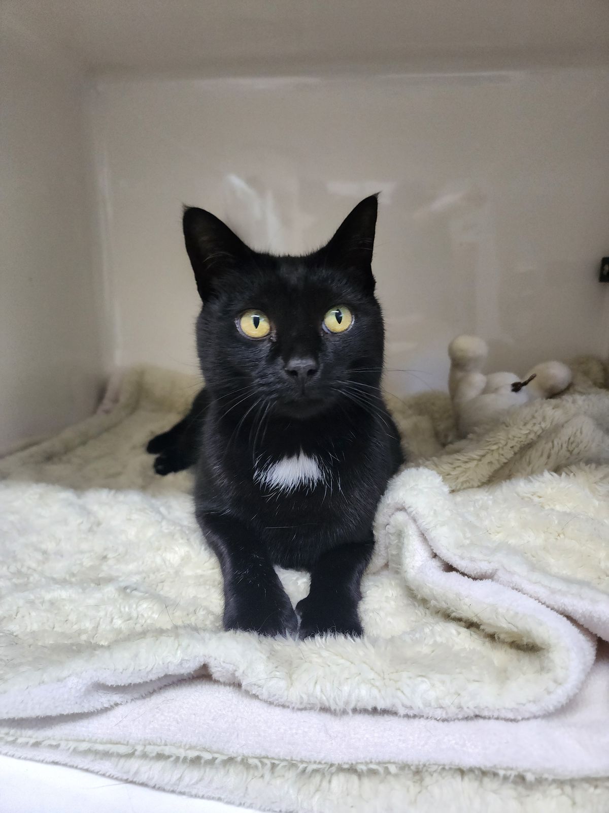 Gallery image: Brenda From Accounting