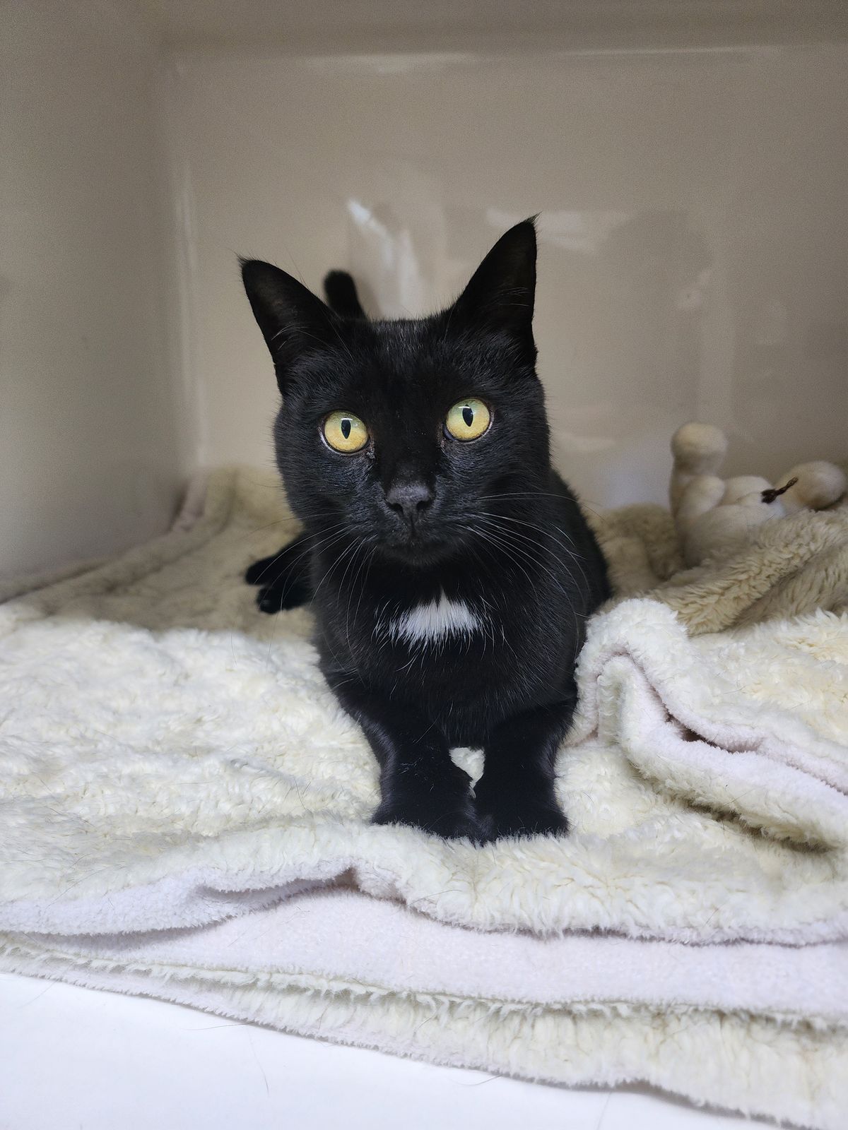 Gallery image: Brenda From Accounting