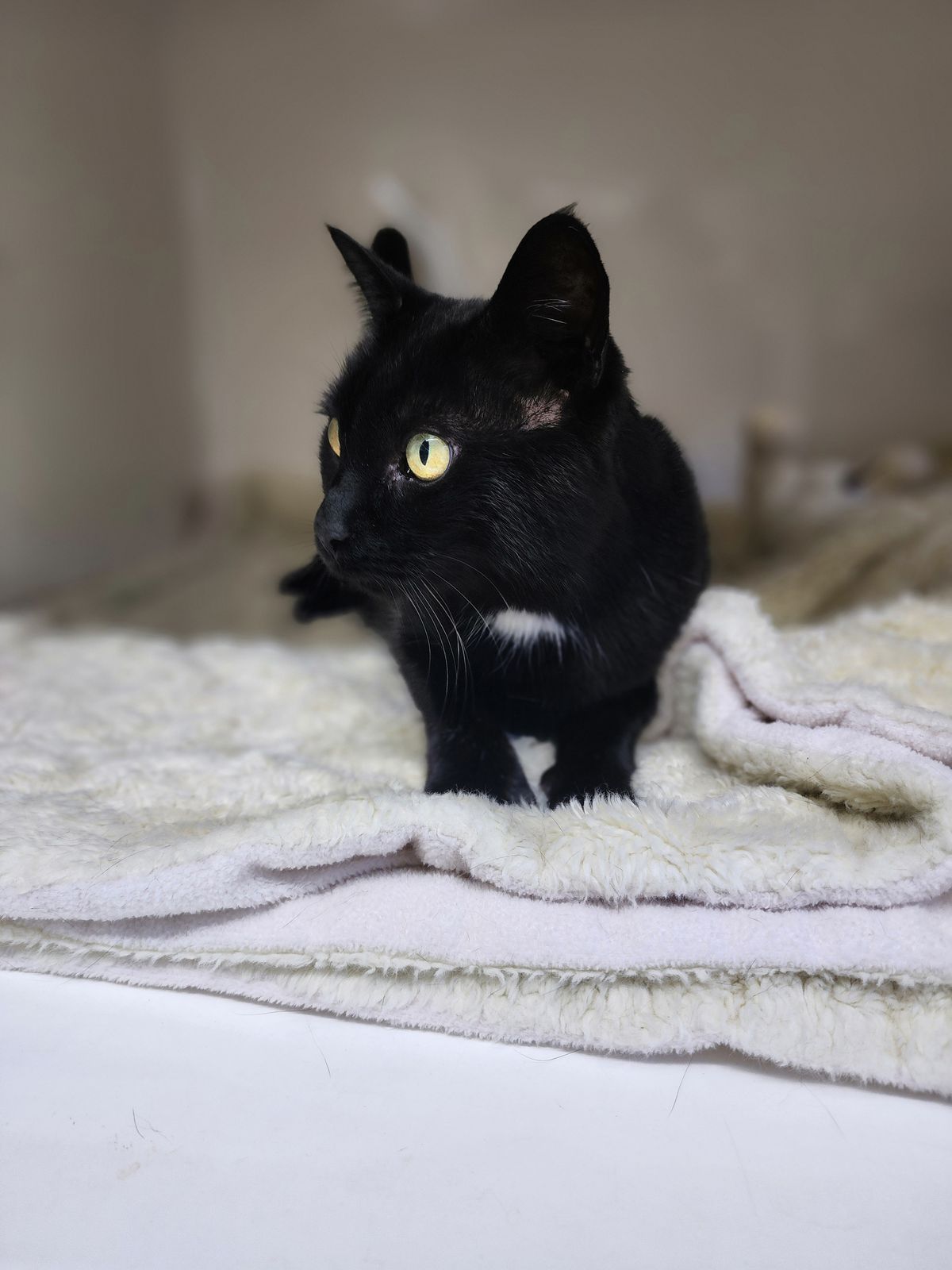 Gallery image: Brenda From Accounting