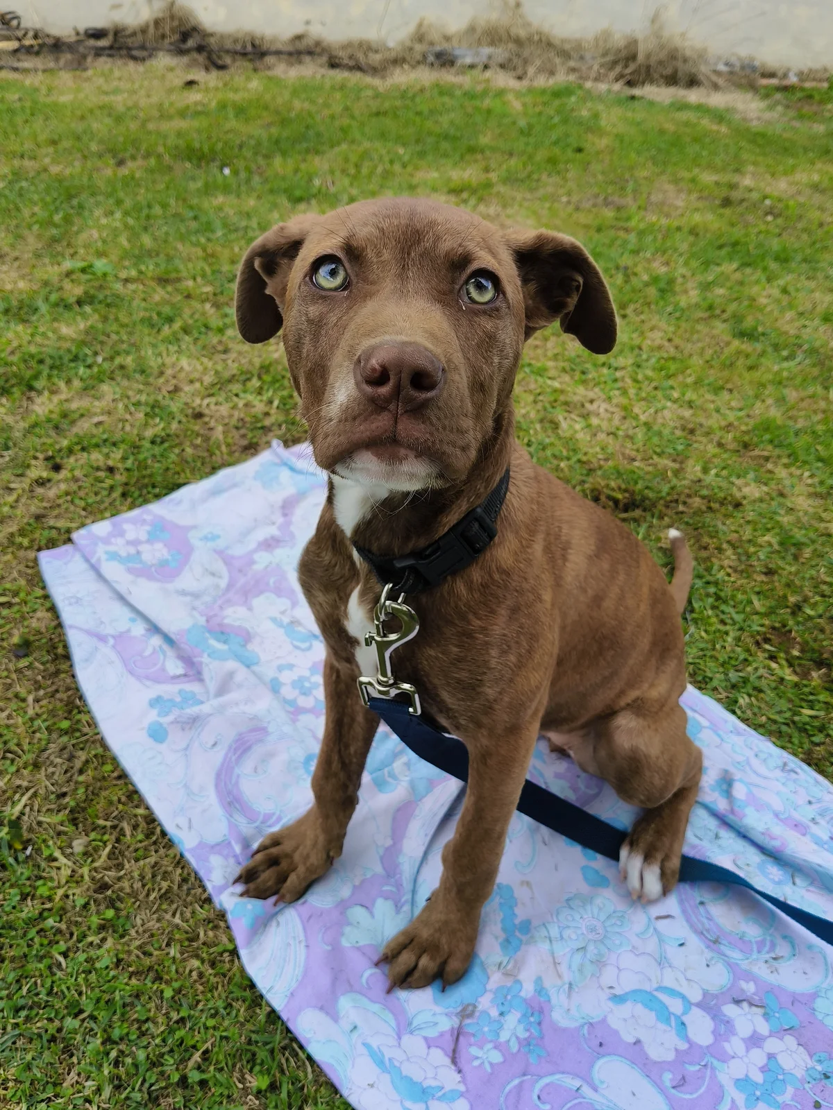 Gallery image: Chanel