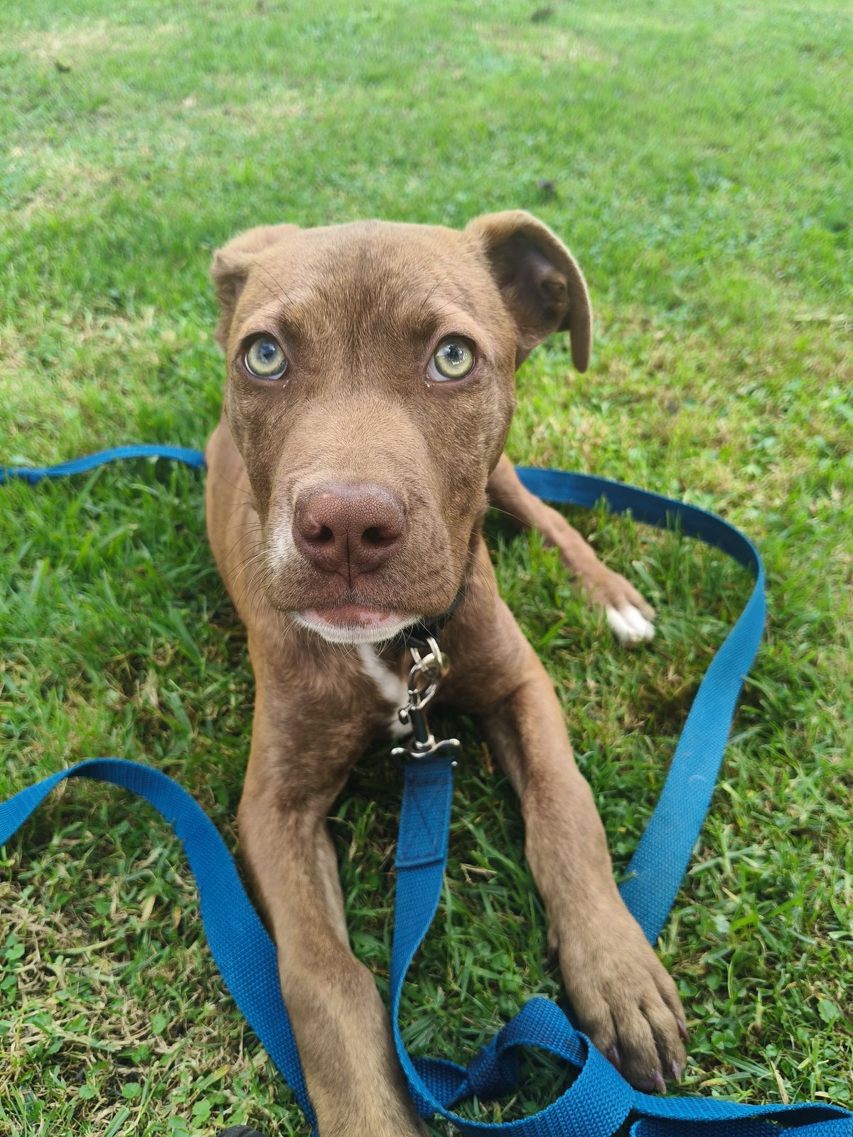 Gallery image: Chanel