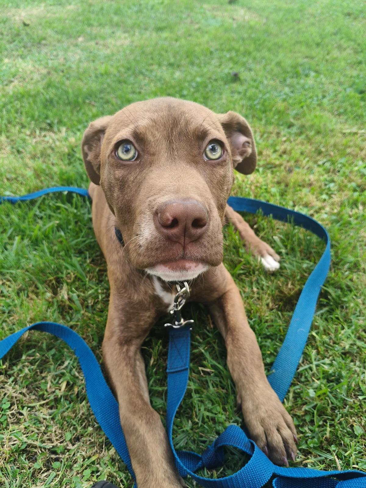 Gallery image: Chanel