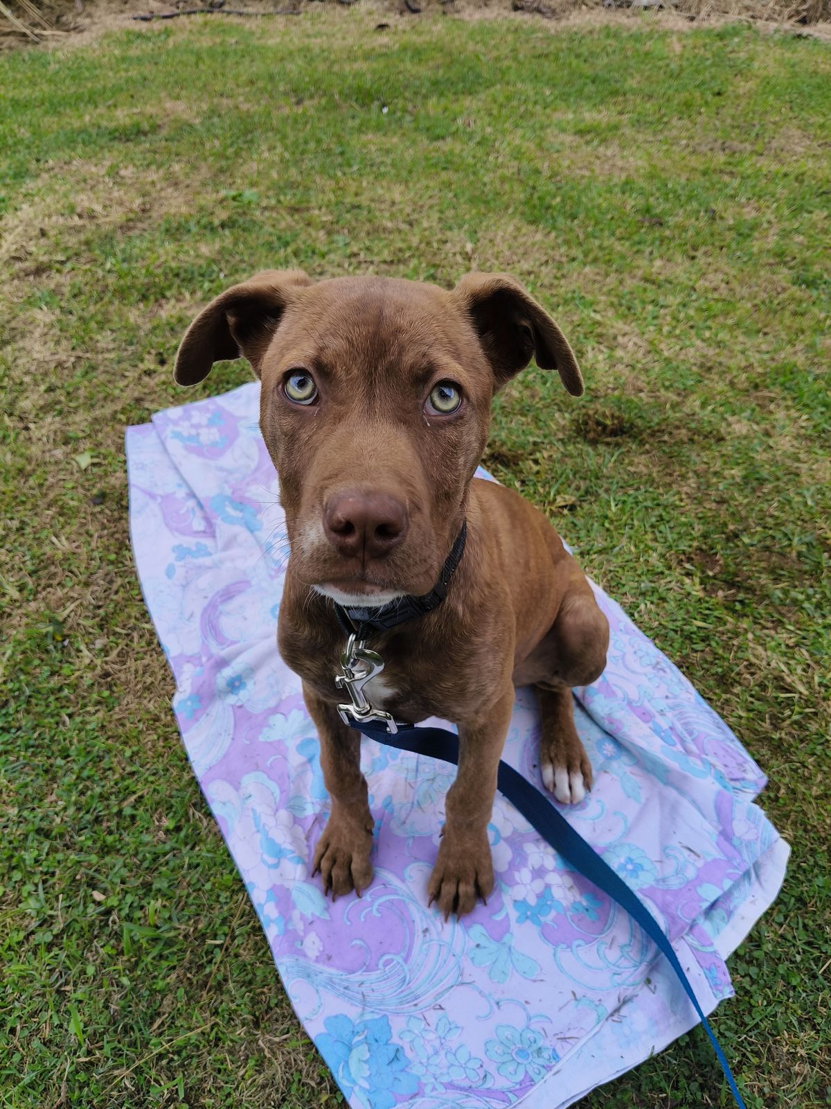 Gallery image: Chanel