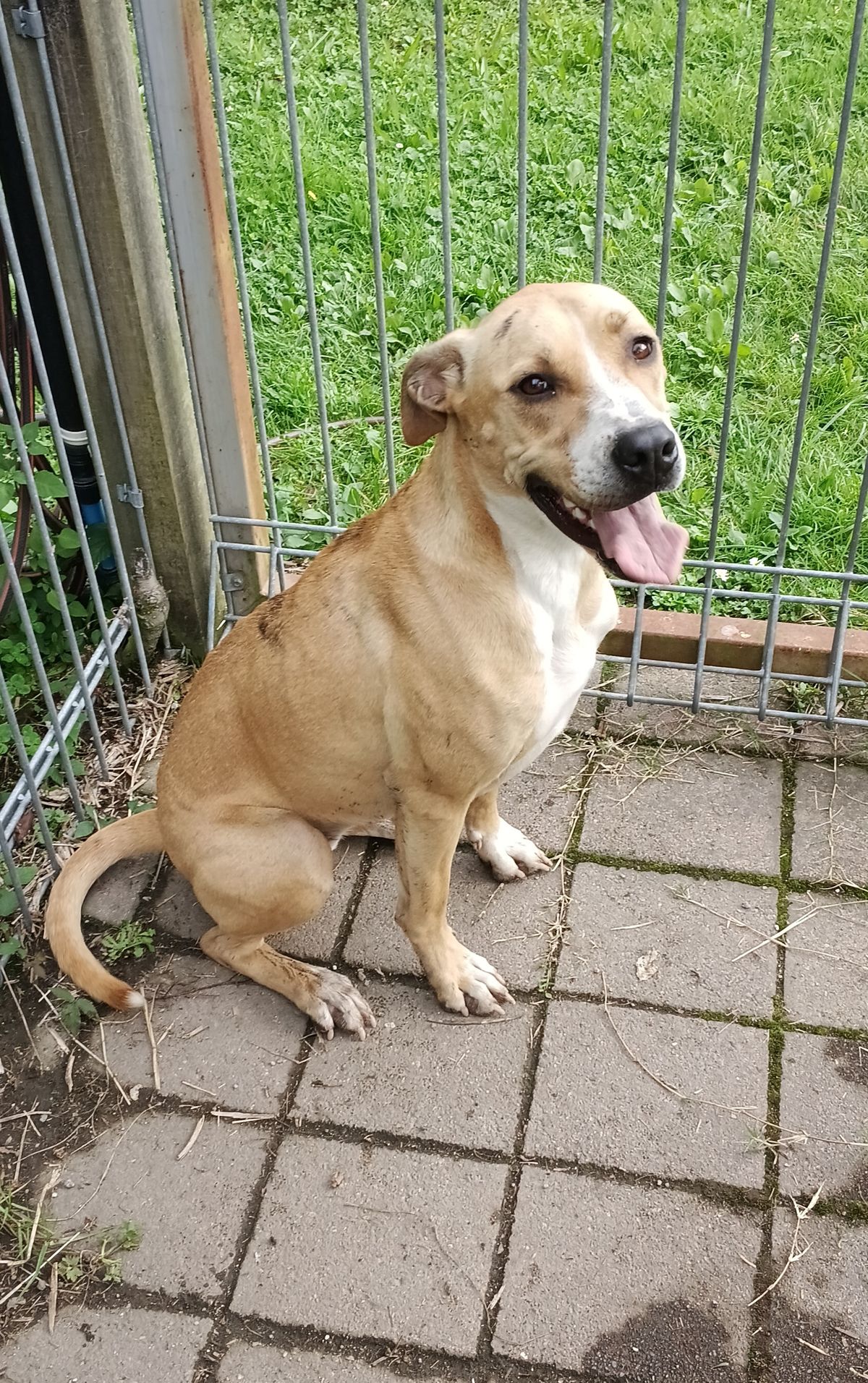 Gallery image: Amera