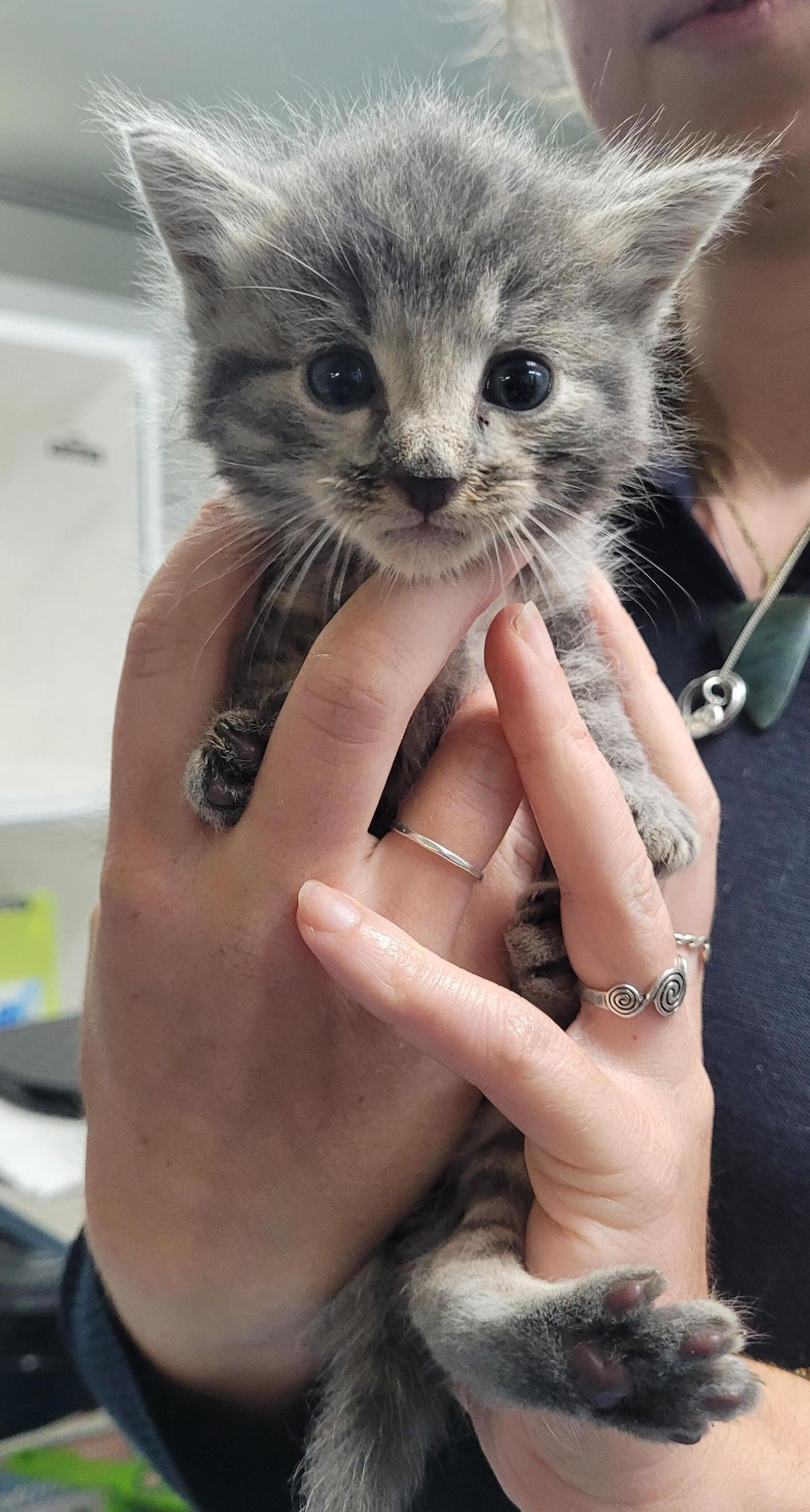 Gallery image: Thomas