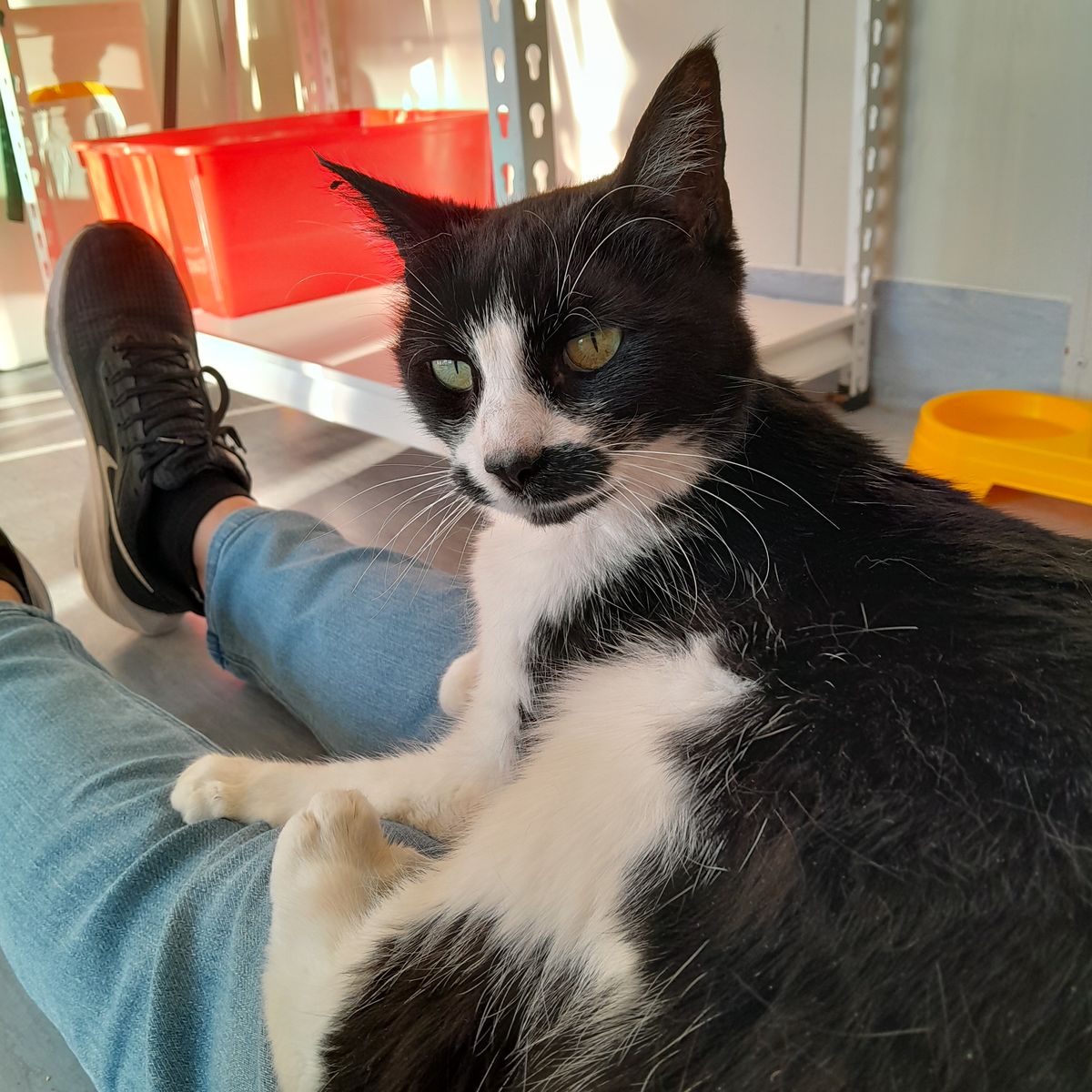 Gallery image: Monica