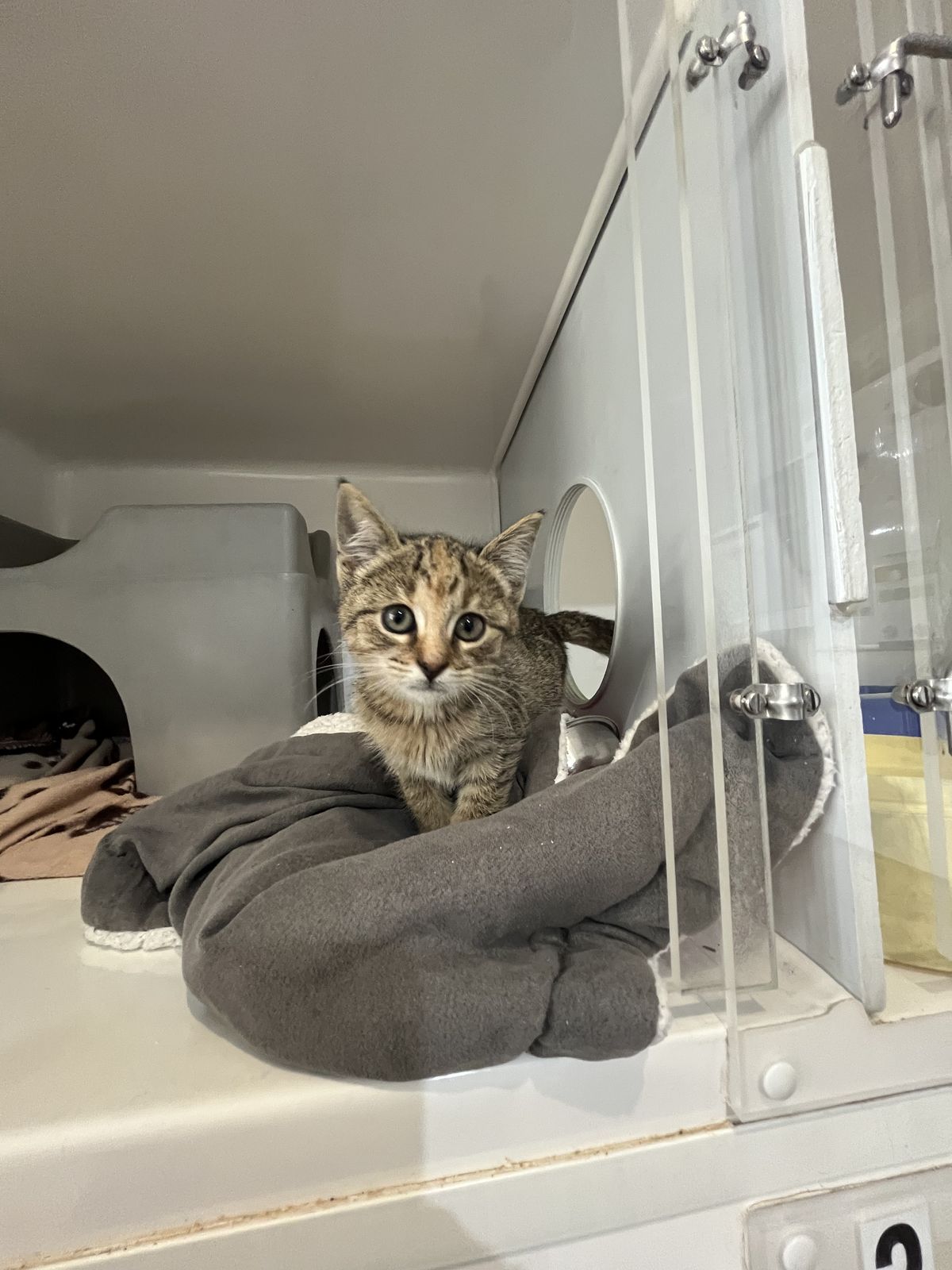 Gallery image: Ariel