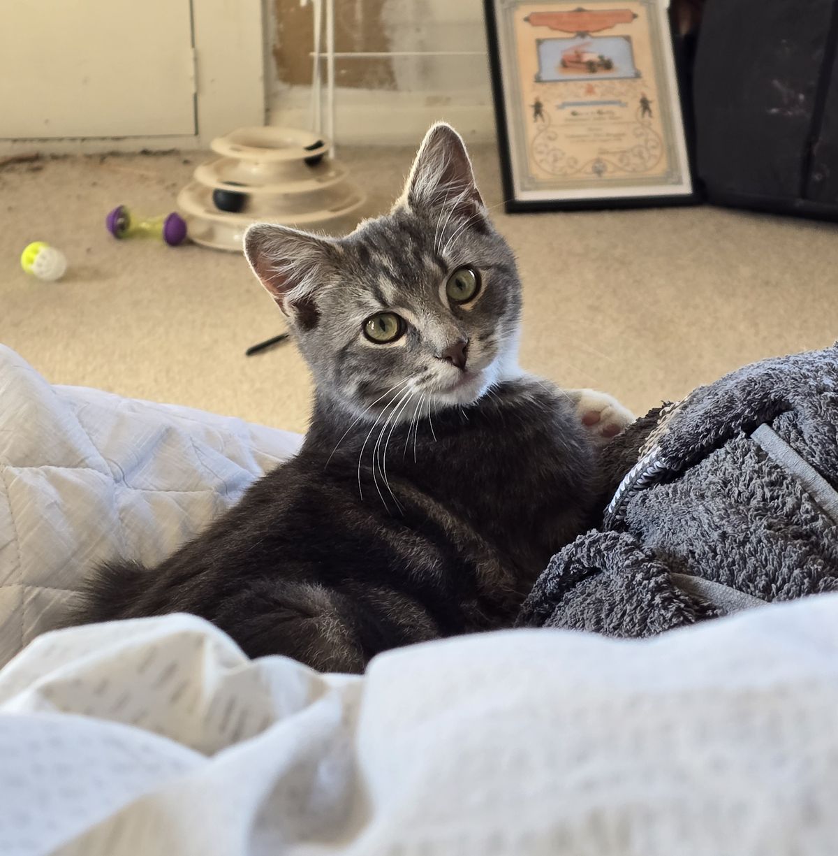 Gallery image: Jerry