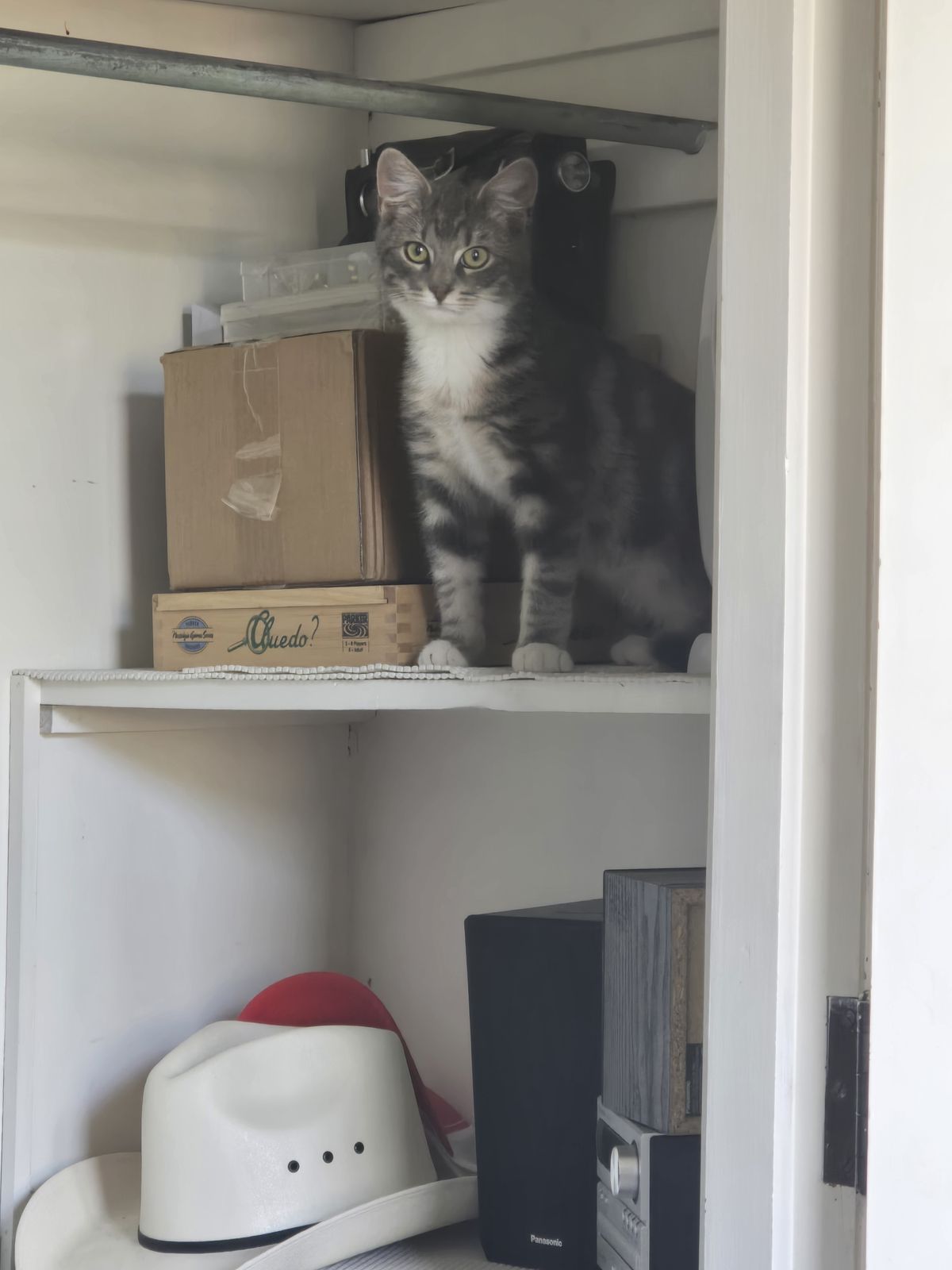 Gallery image: Jerry