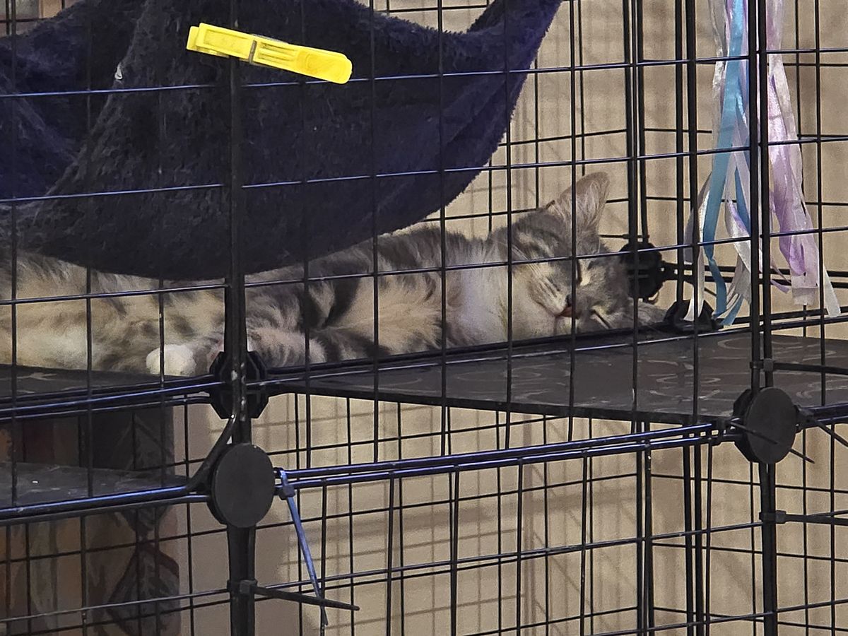 Gallery image: Jerry