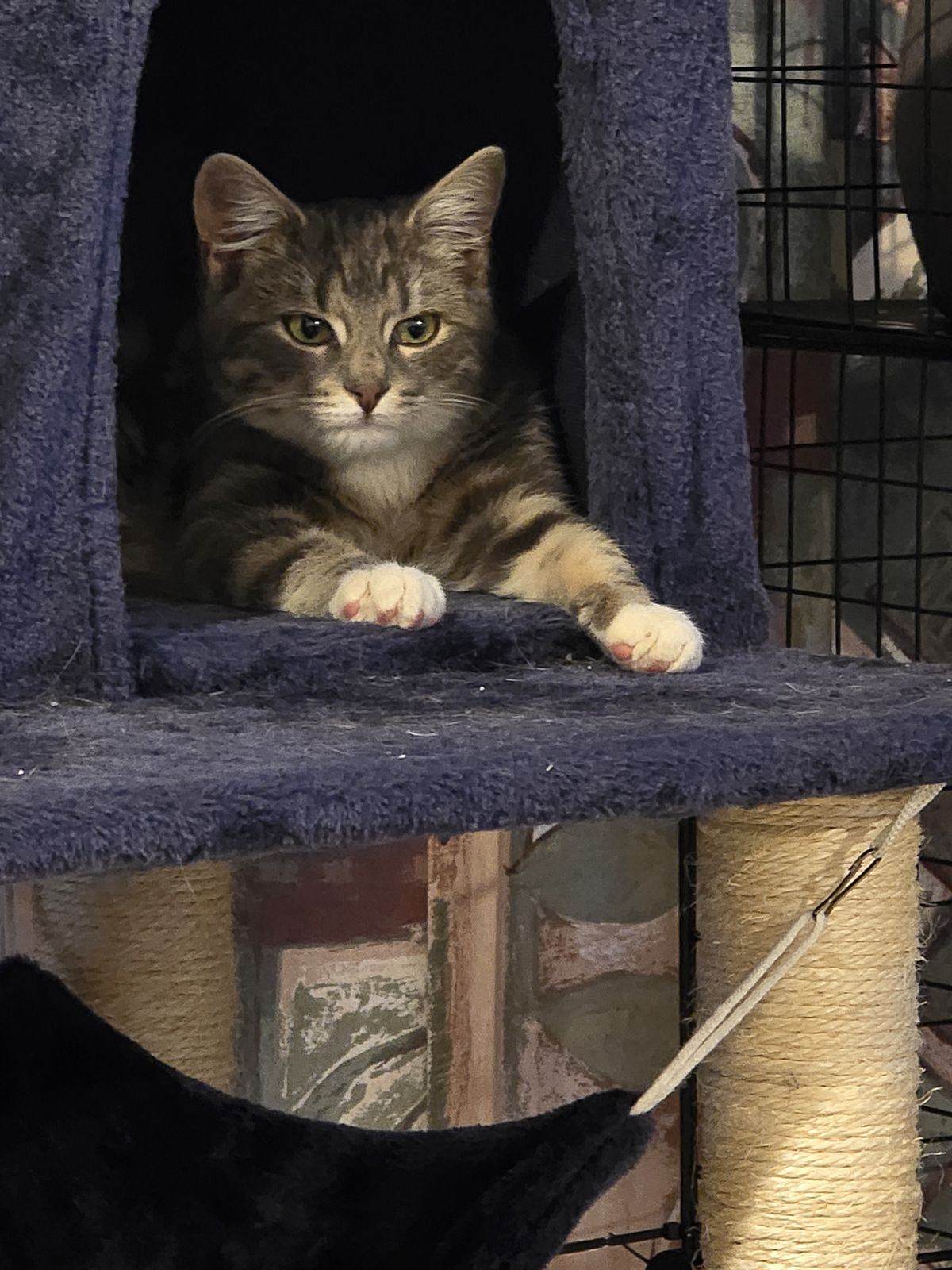 Gallery image: Jerry