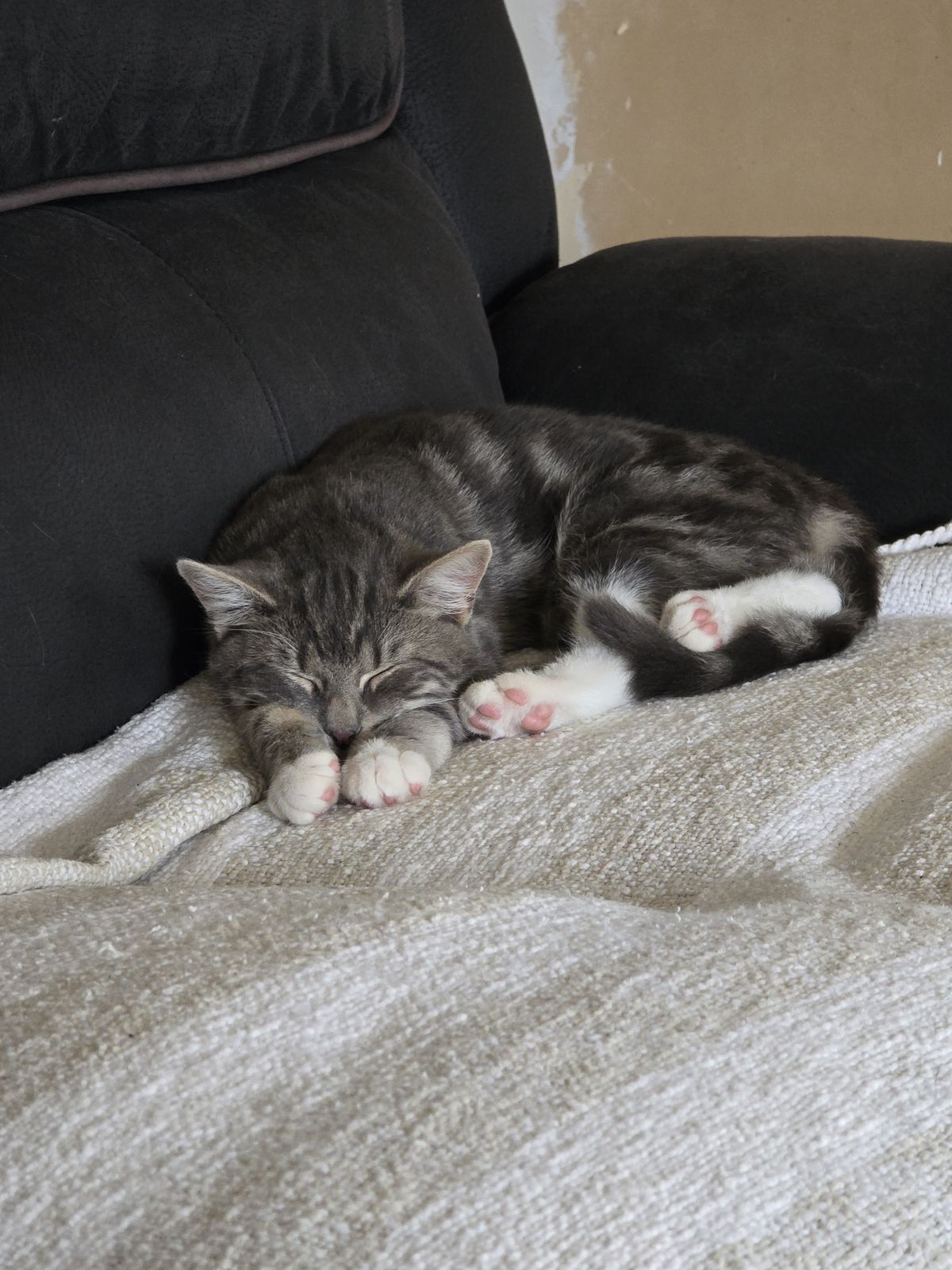 Gallery image: Jerry