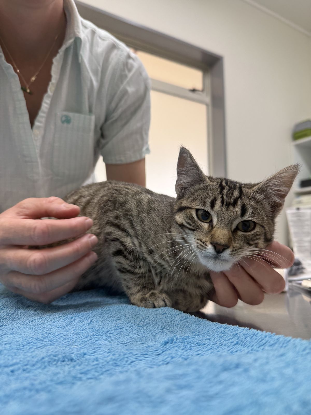 Gallery image: Clyde