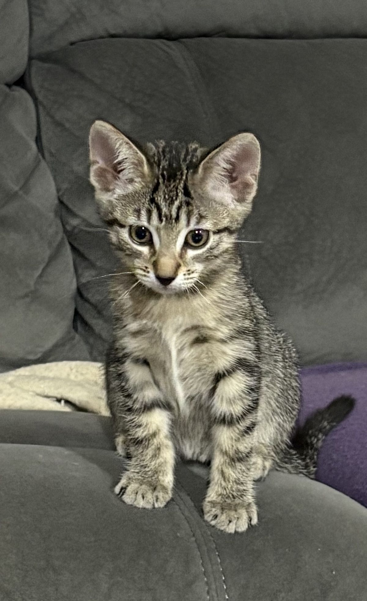 Gallery image: Blair