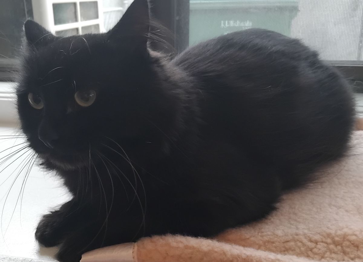 Gallery image: Barker 