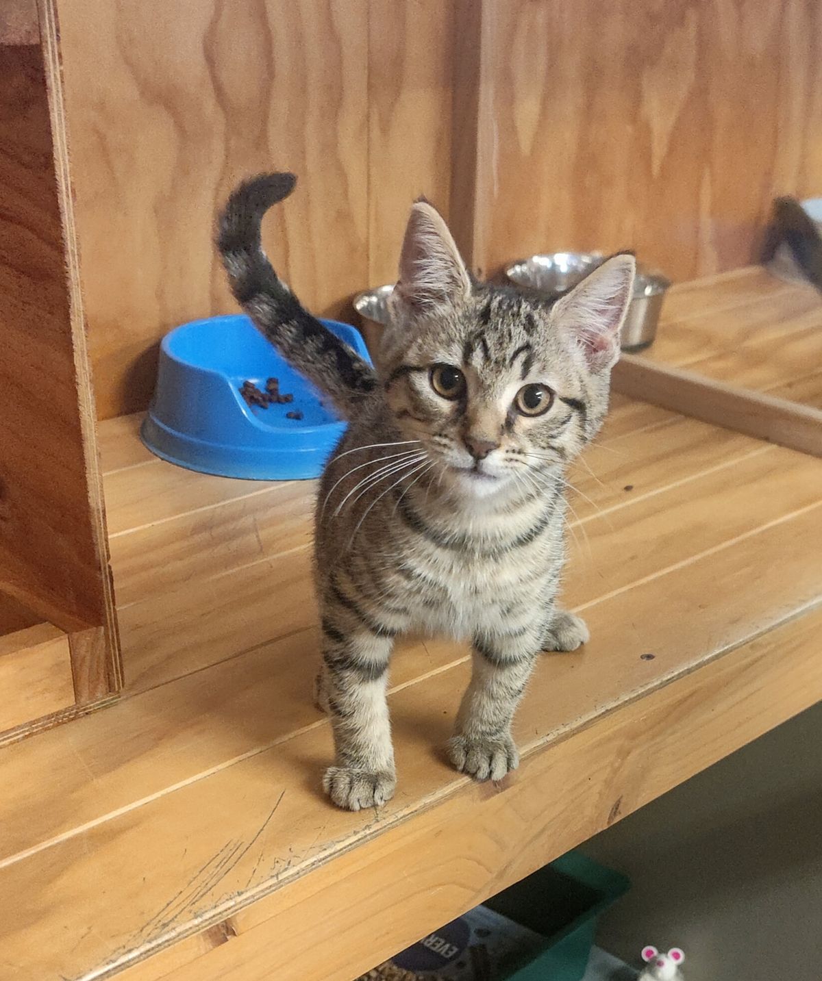 Gallery image: Caramon