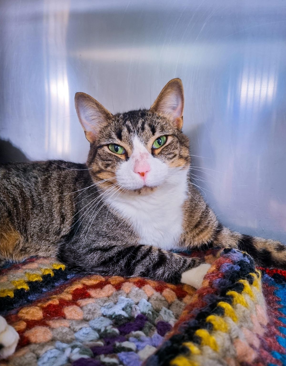 Gallery image: Lenard