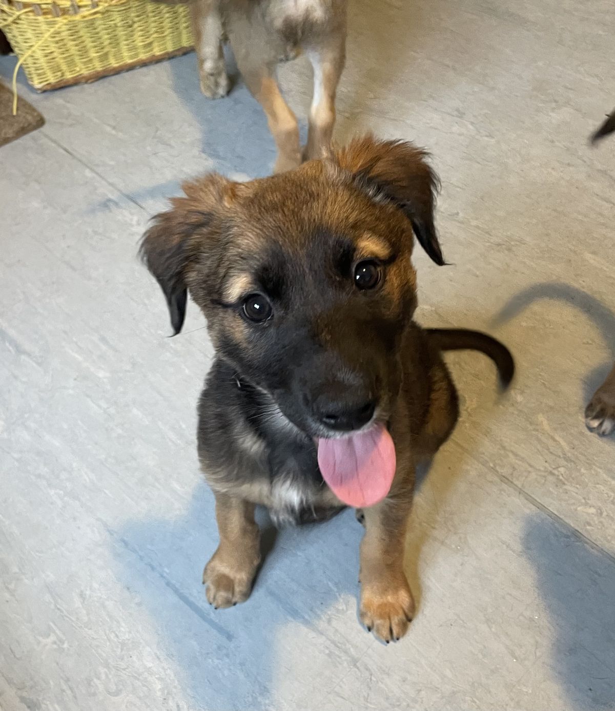 Gallery image: Toulouse