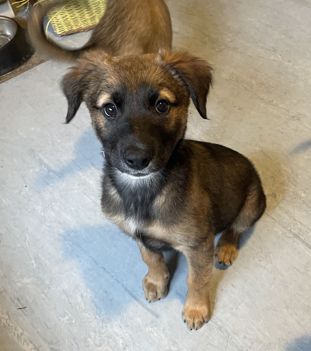 Gallery image: Toulouse