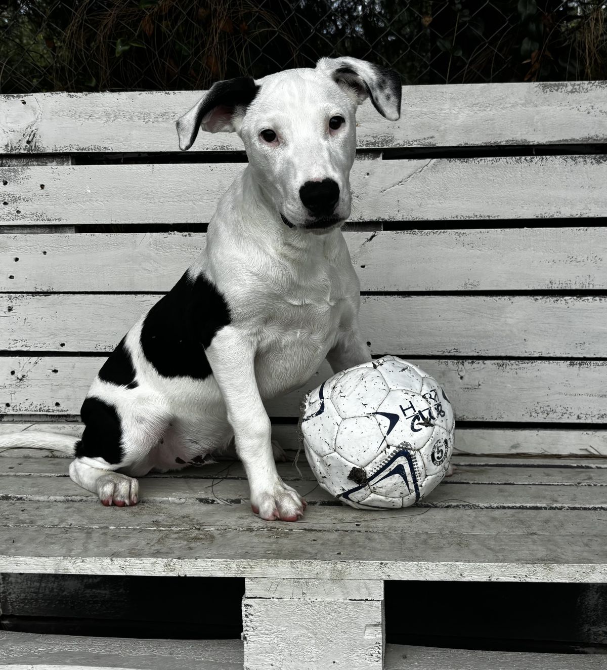 Gallery image: Cooper