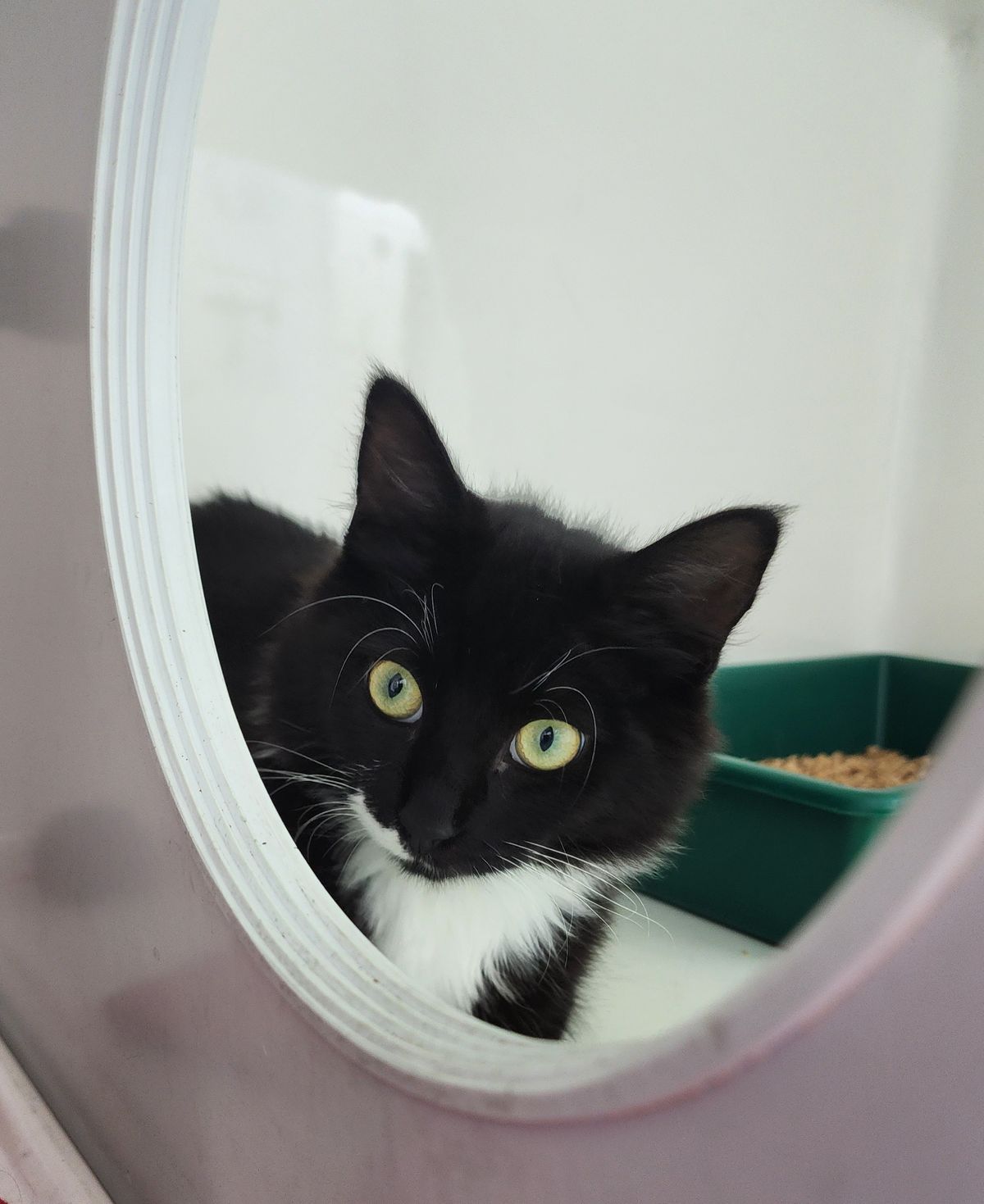 Gallery image: Bruno