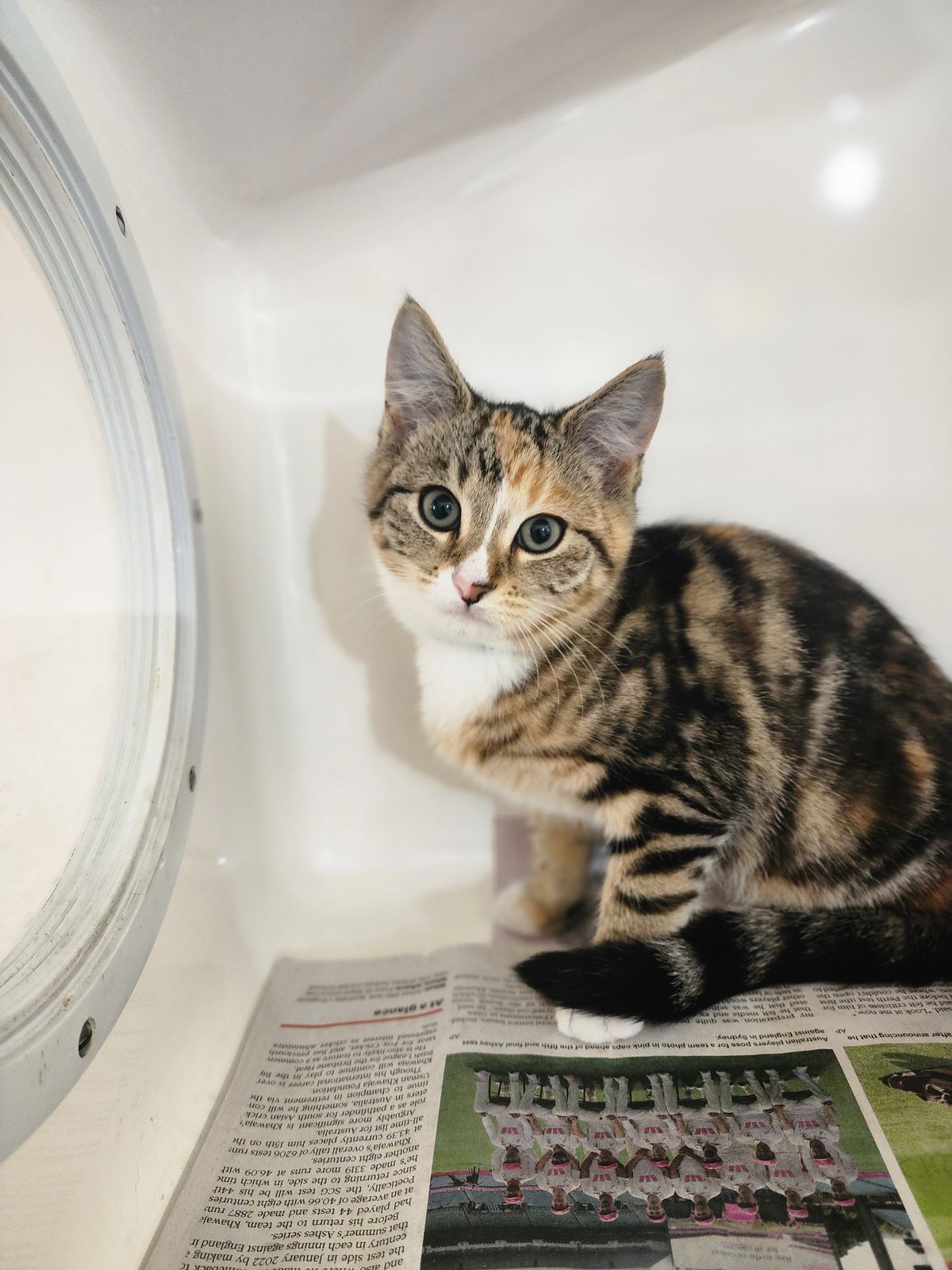 Gallery image: Violet