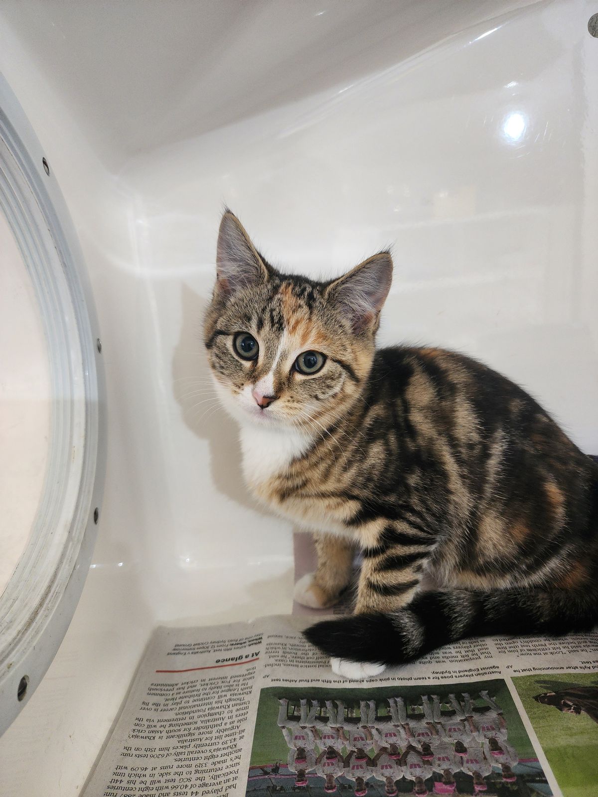 Gallery image: Violet